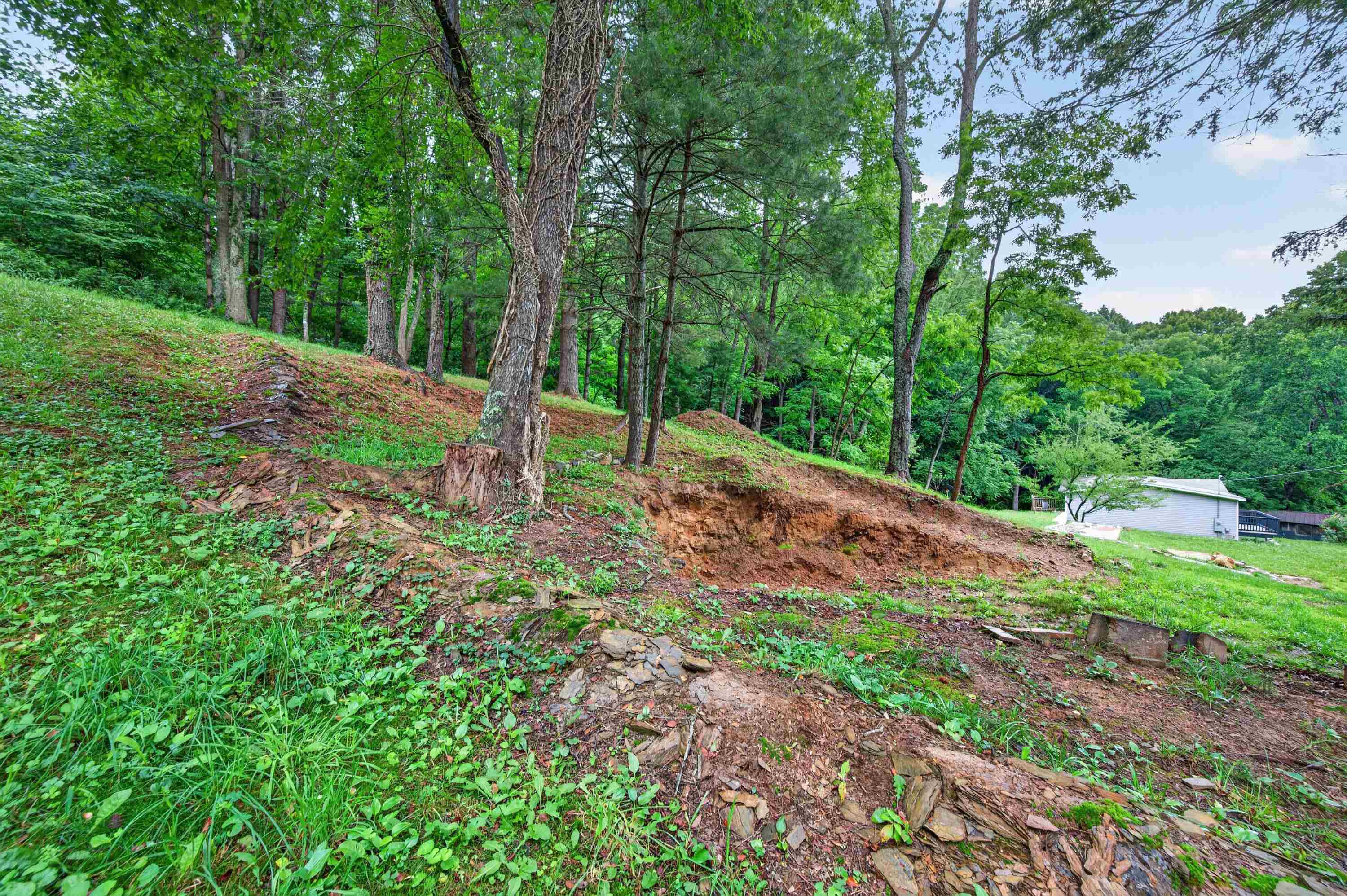 1625 Hollandsworth Road NW Indian Valley VA 24105