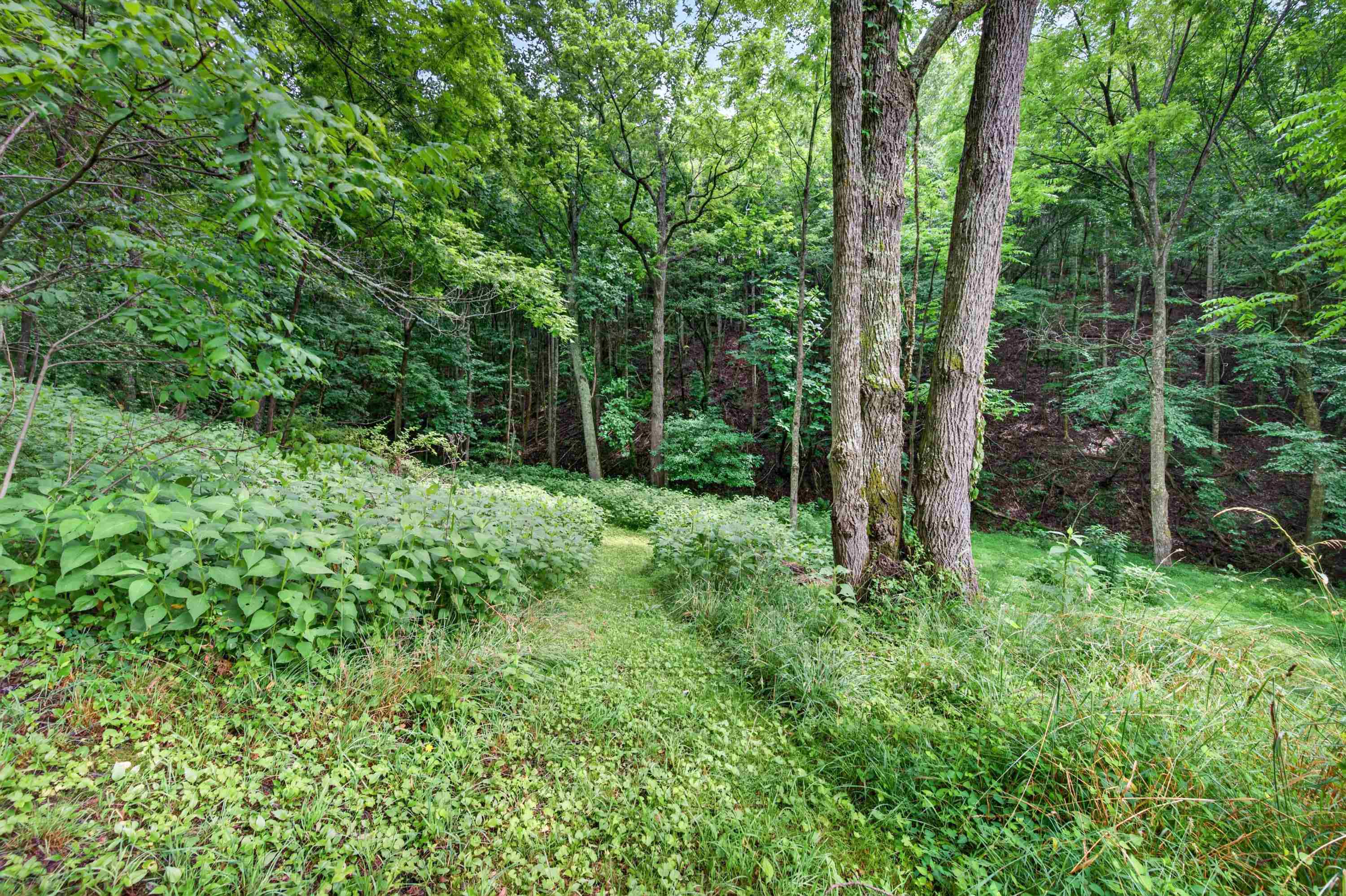 1625 Hollandsworth Road NW Indian Valley VA 24105