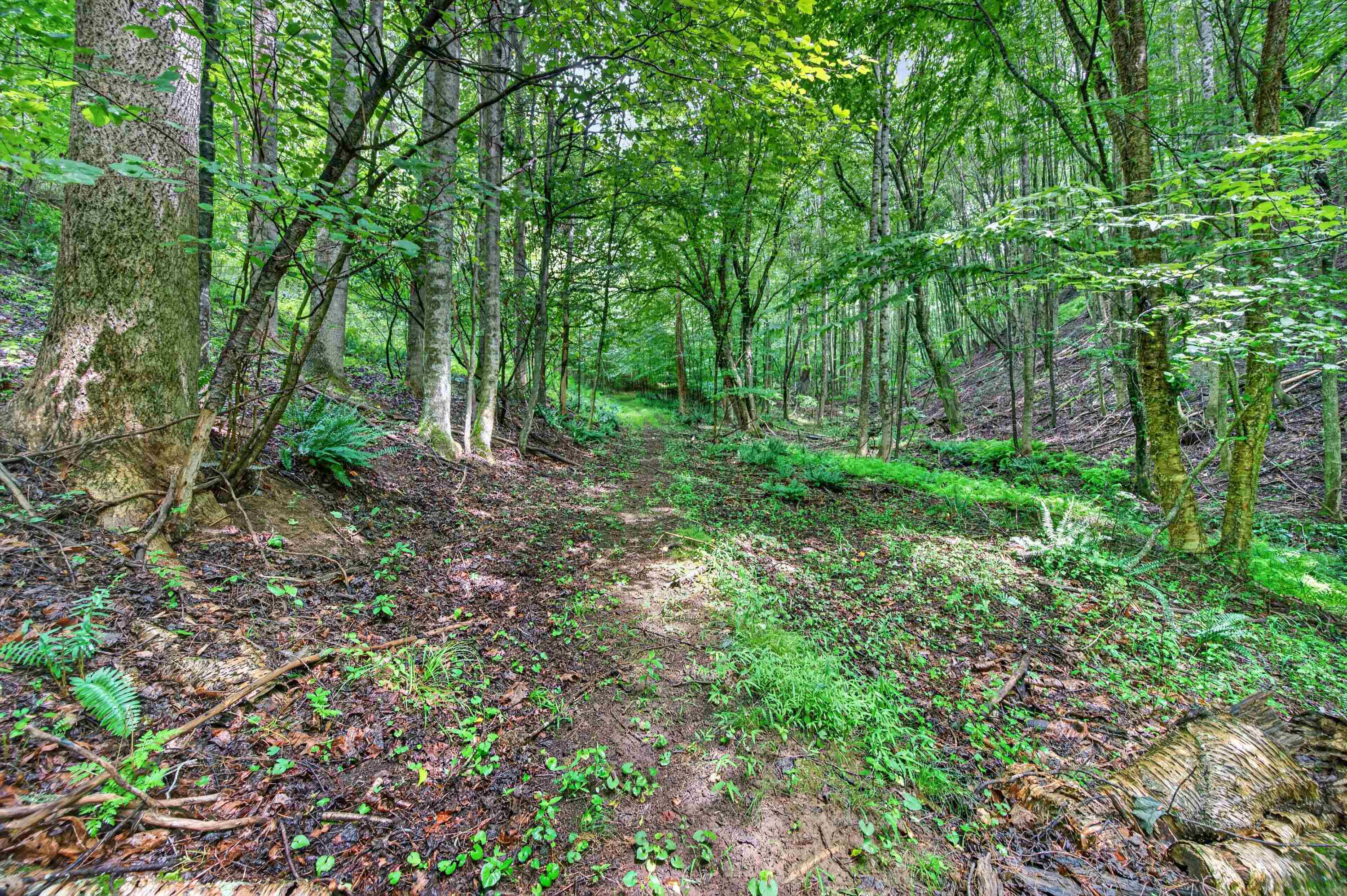 1625 Hollandsworth Road NW Indian Valley VA 24105
