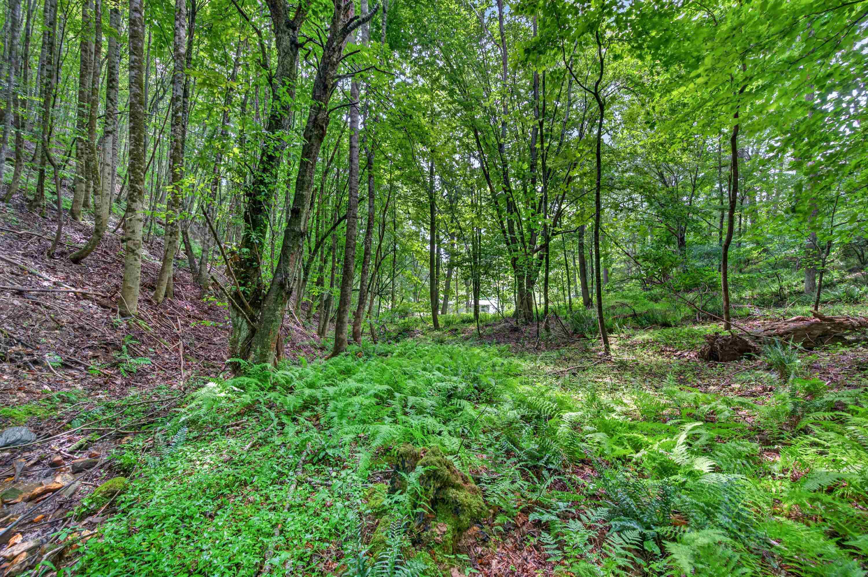 1625 Hollandsworth Road NW Indian Valley VA 24105