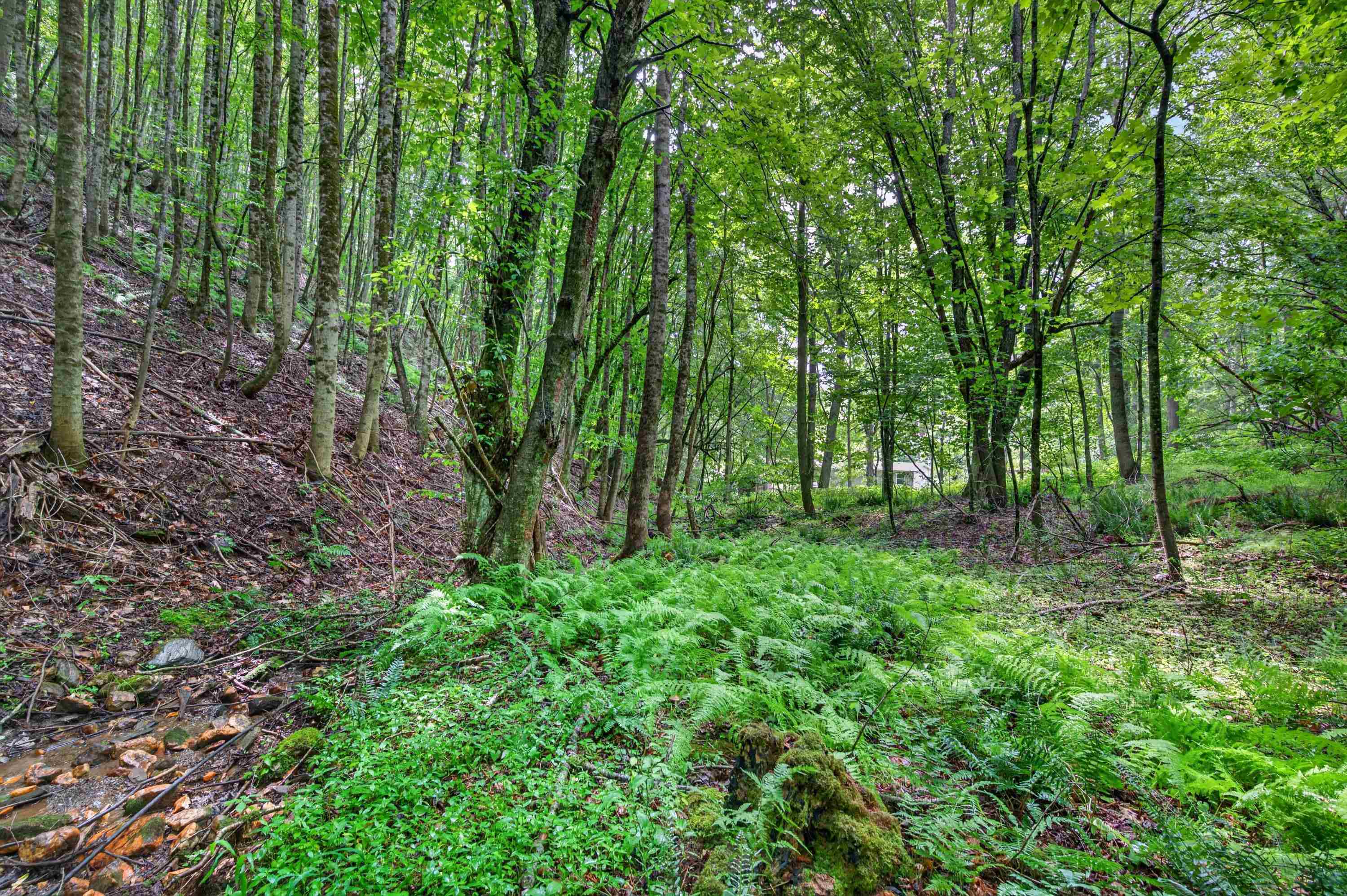 1625 Hollandsworth Road NW Indian Valley VA 24105