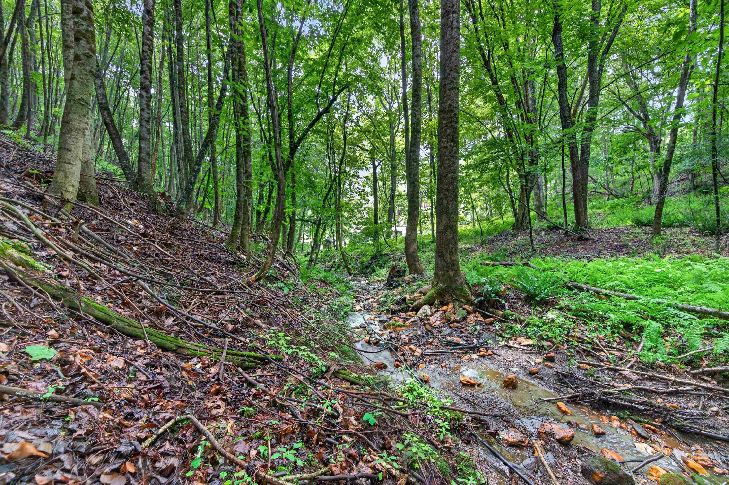 1625 Hollandsworth Road NW Indian Valley VA 24105