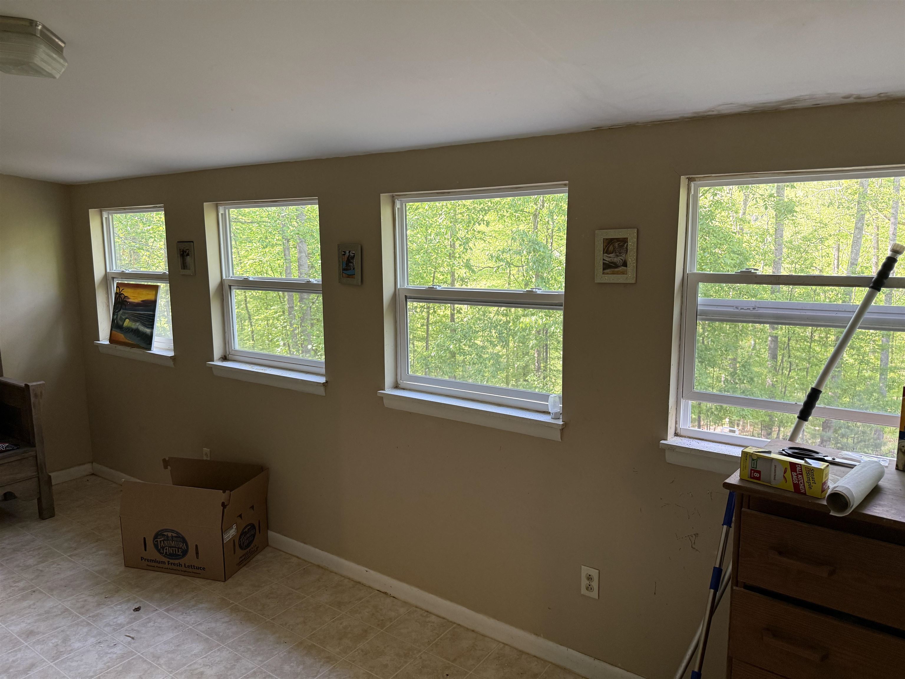 5435 Coles Road Elliston VA 24087