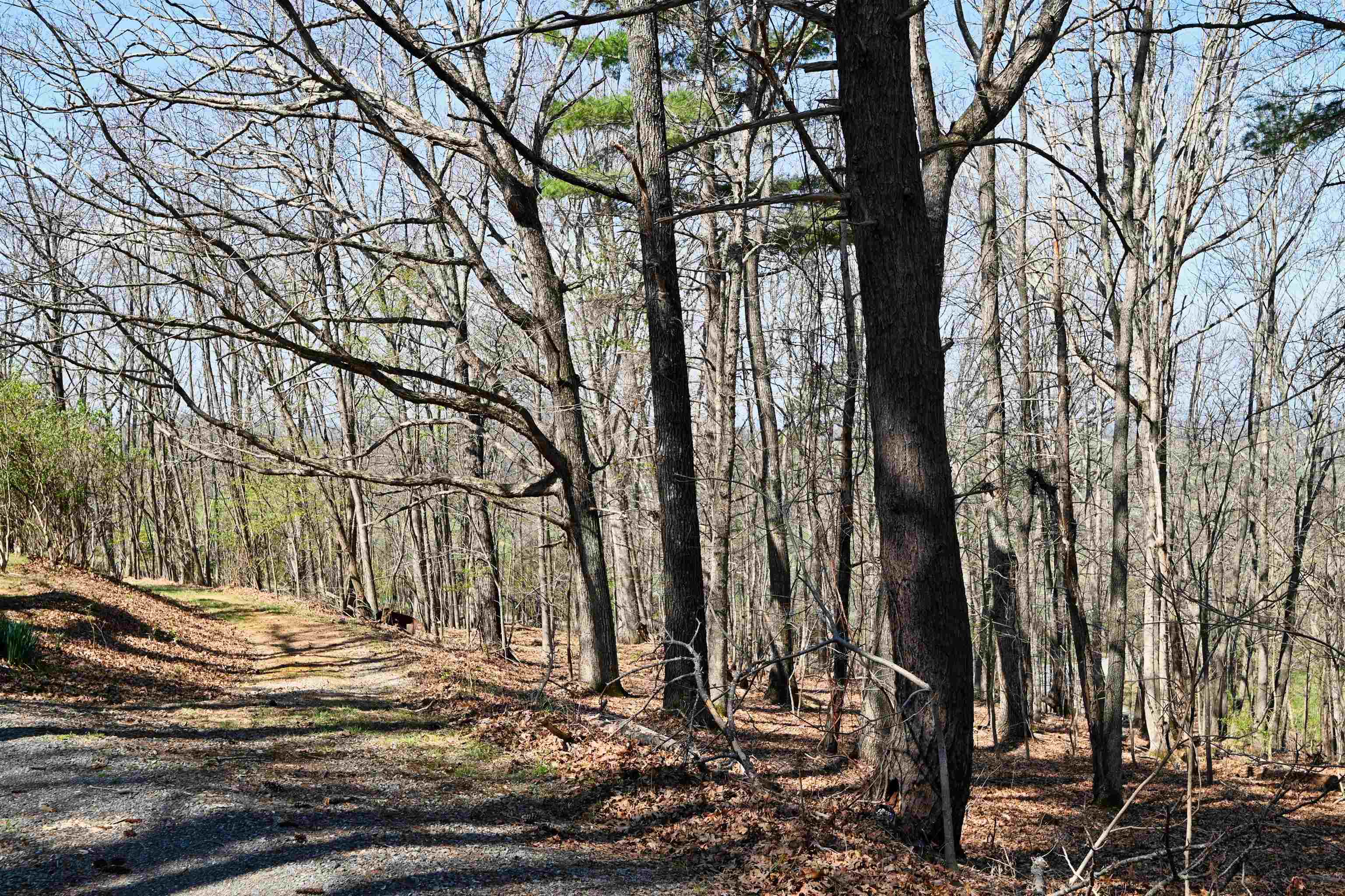 1191 Rustic Ridge Road Riner VA 24149