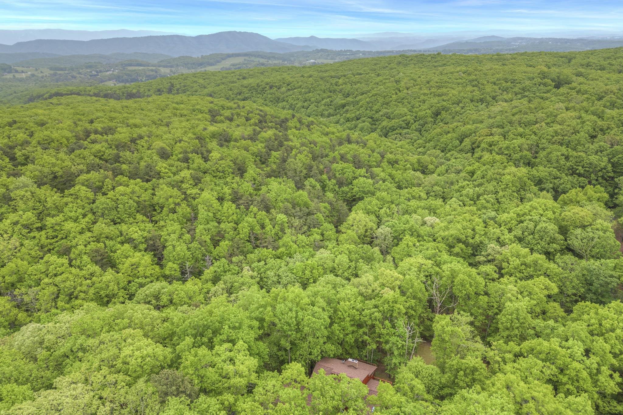 4950 Preston Forest Drive Blacksburg VA 24060