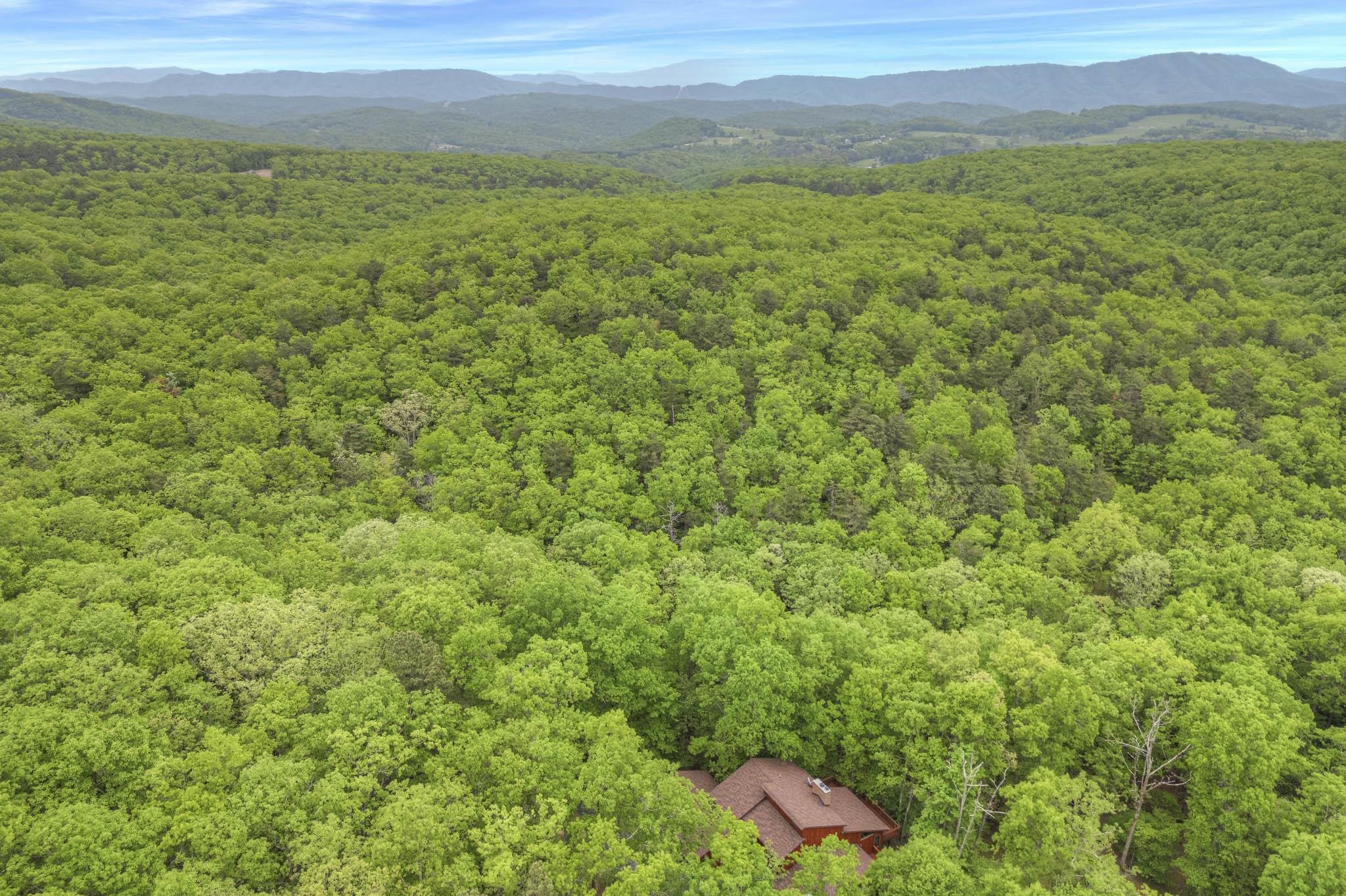 4950 Preston Forest Drive Blacksburg VA 24060