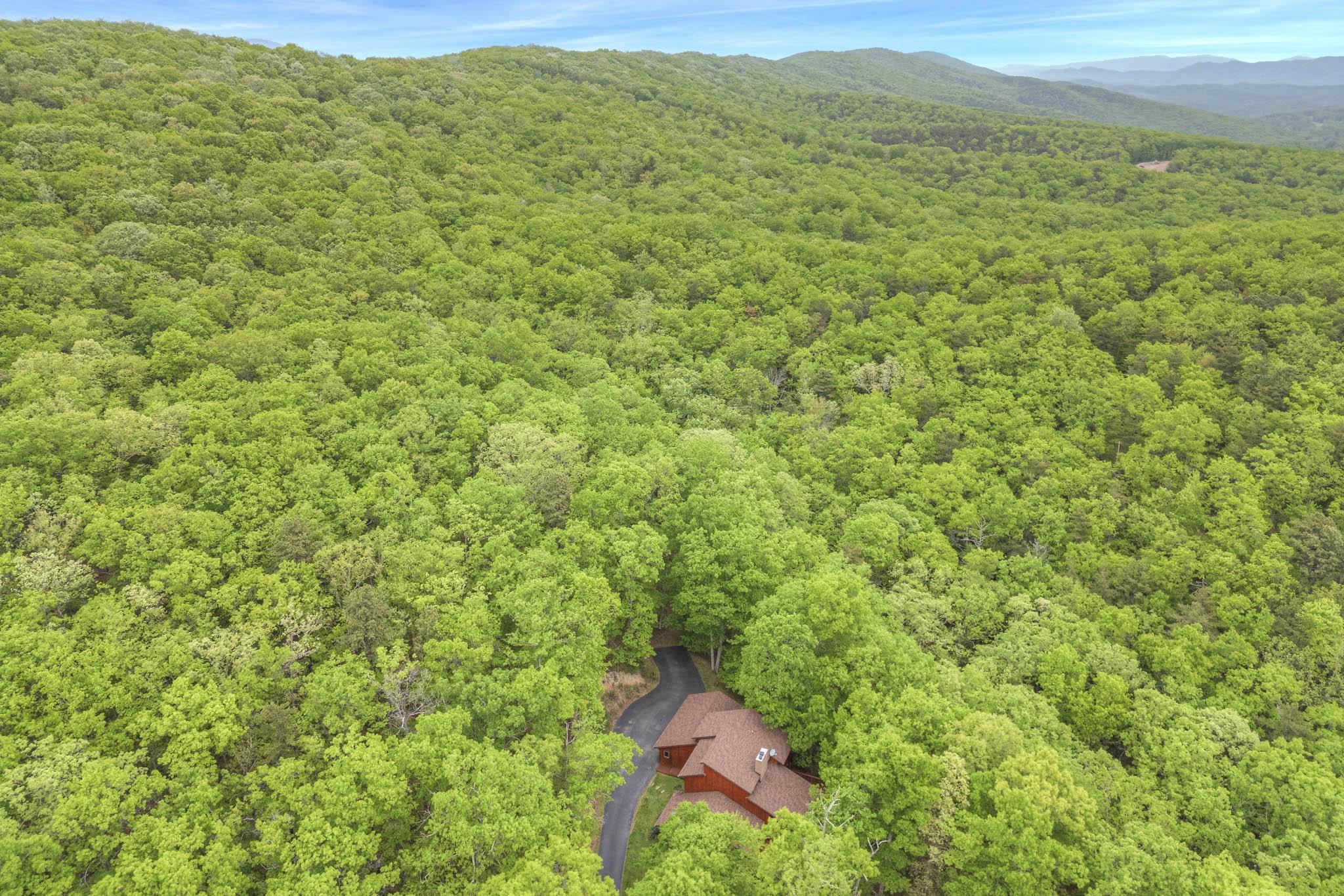 4950 Preston Forest Drive Blacksburg VA 24060