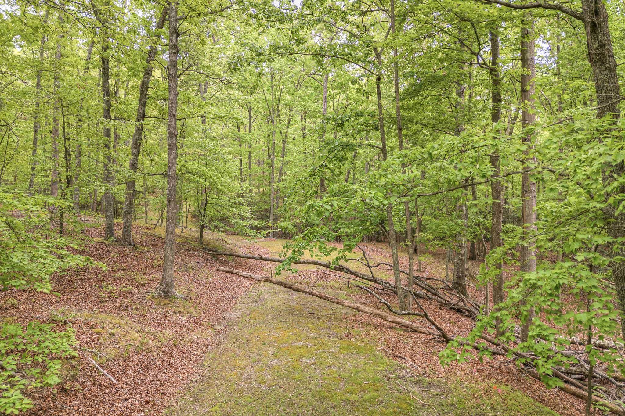 4950 Preston Forest Drive Blacksburg VA 24060