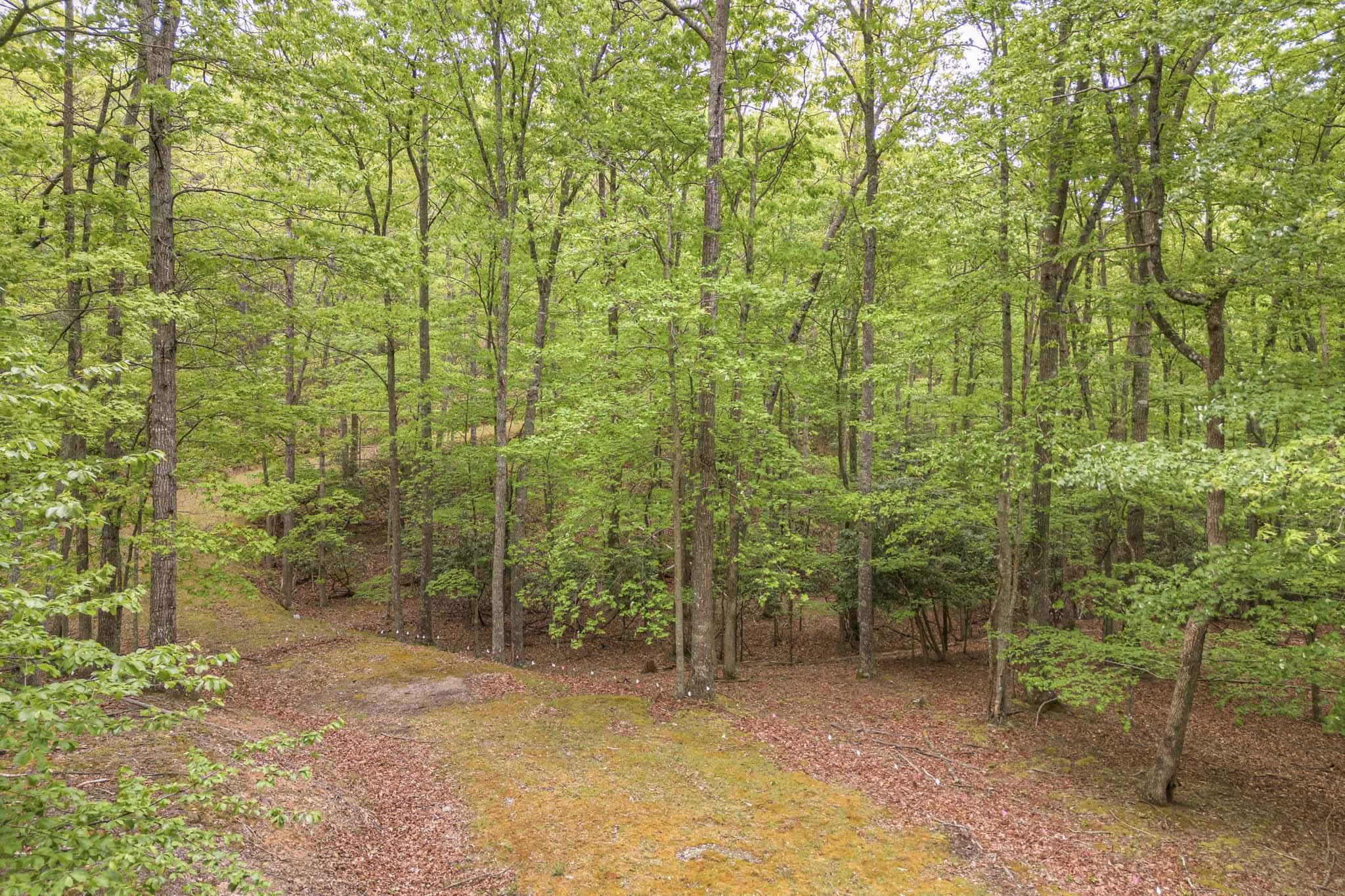 4950 Preston Forest Drive Blacksburg VA 24060