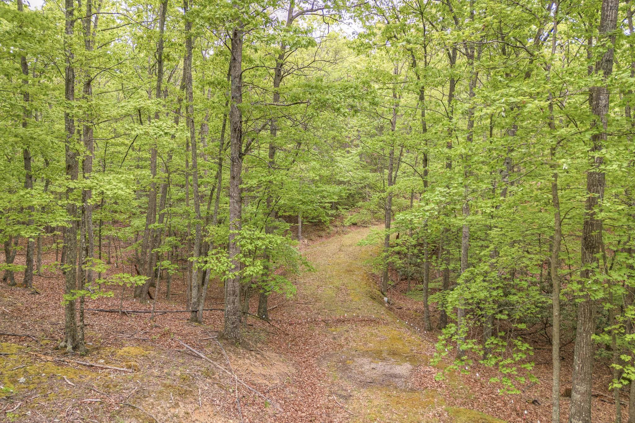 4950 Preston Forest Drive Blacksburg VA 24060