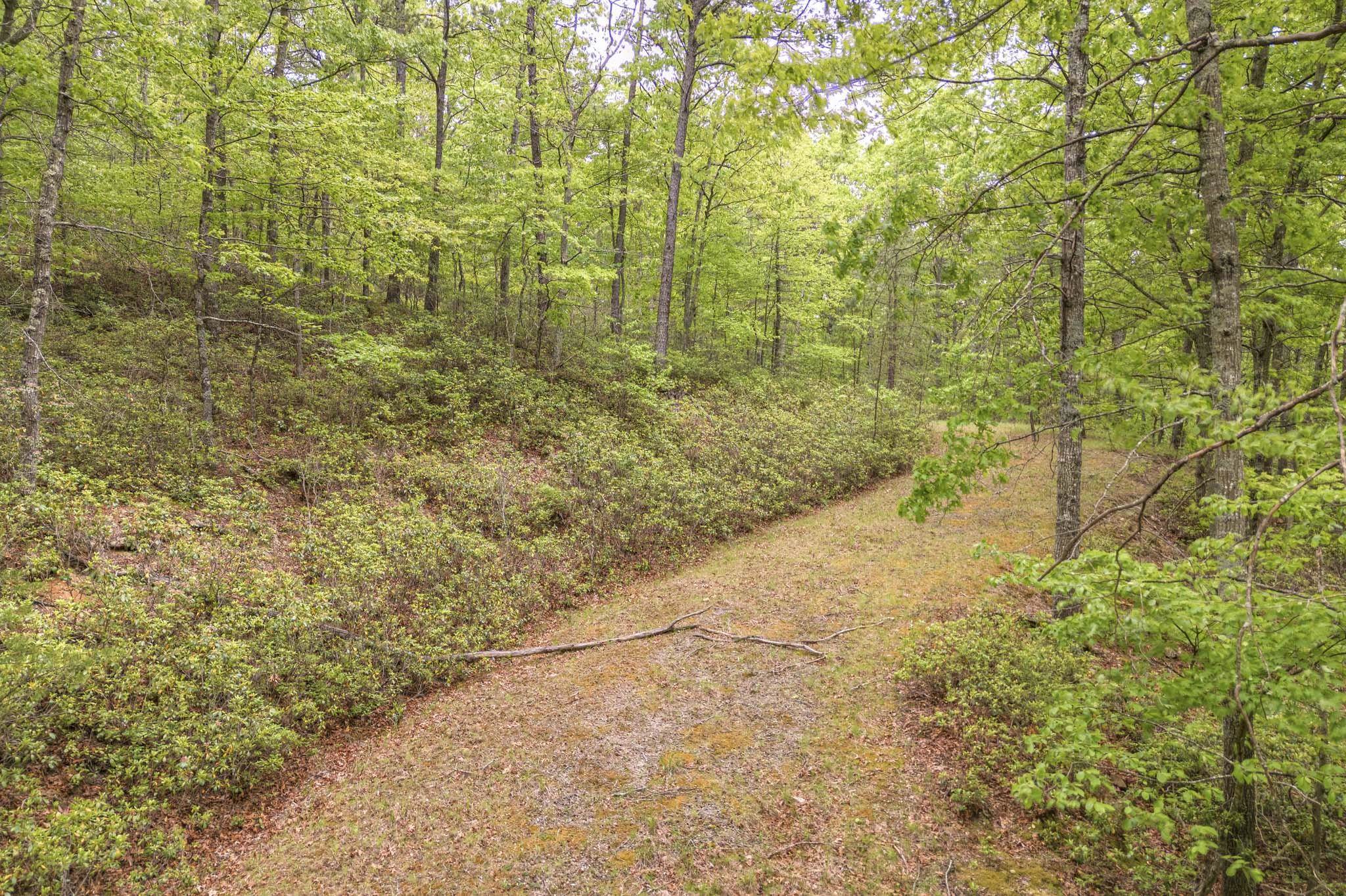 4950 Preston Forest Drive Blacksburg VA 24060