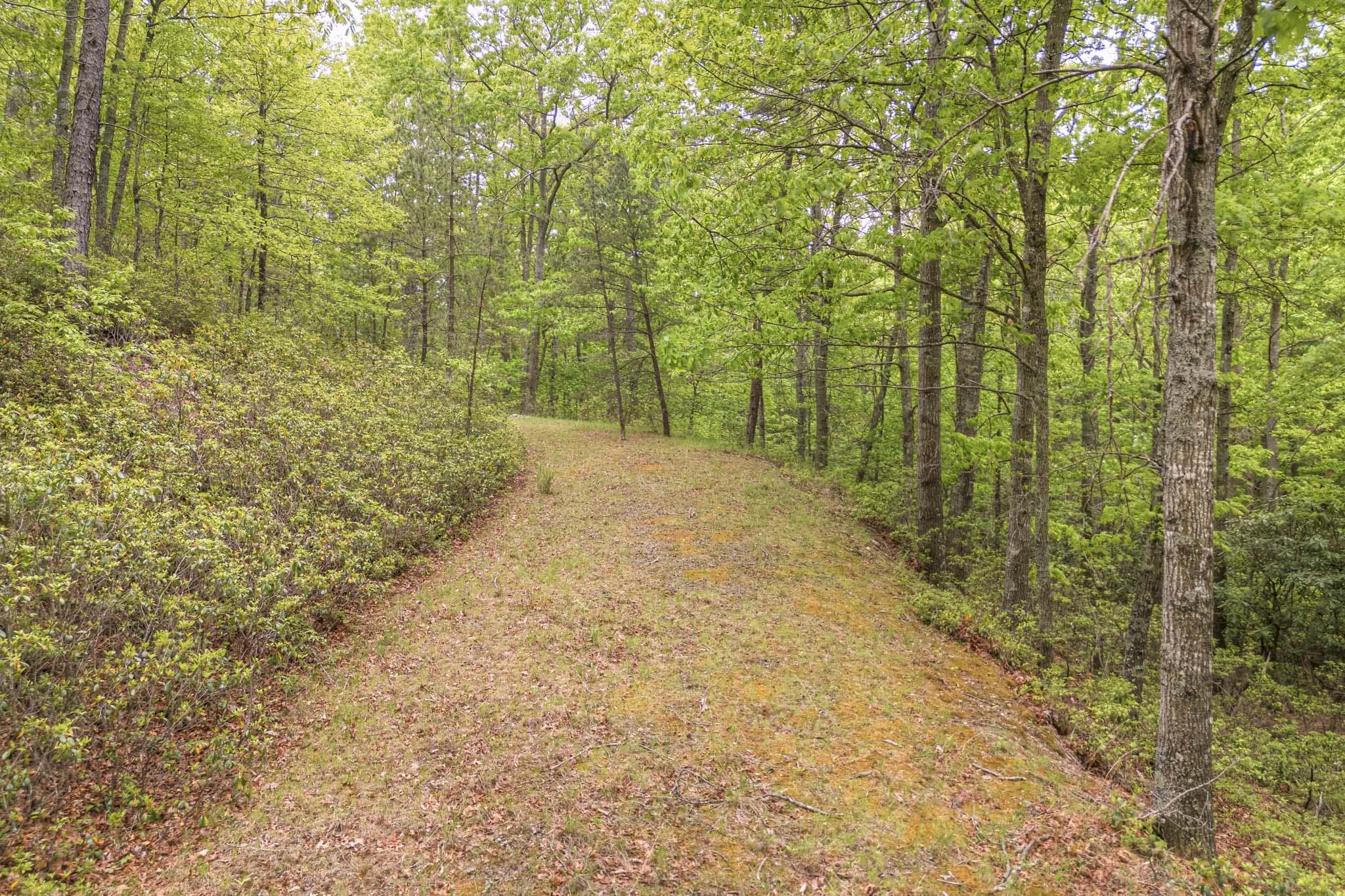 4950 Preston Forest Drive Blacksburg VA 24060