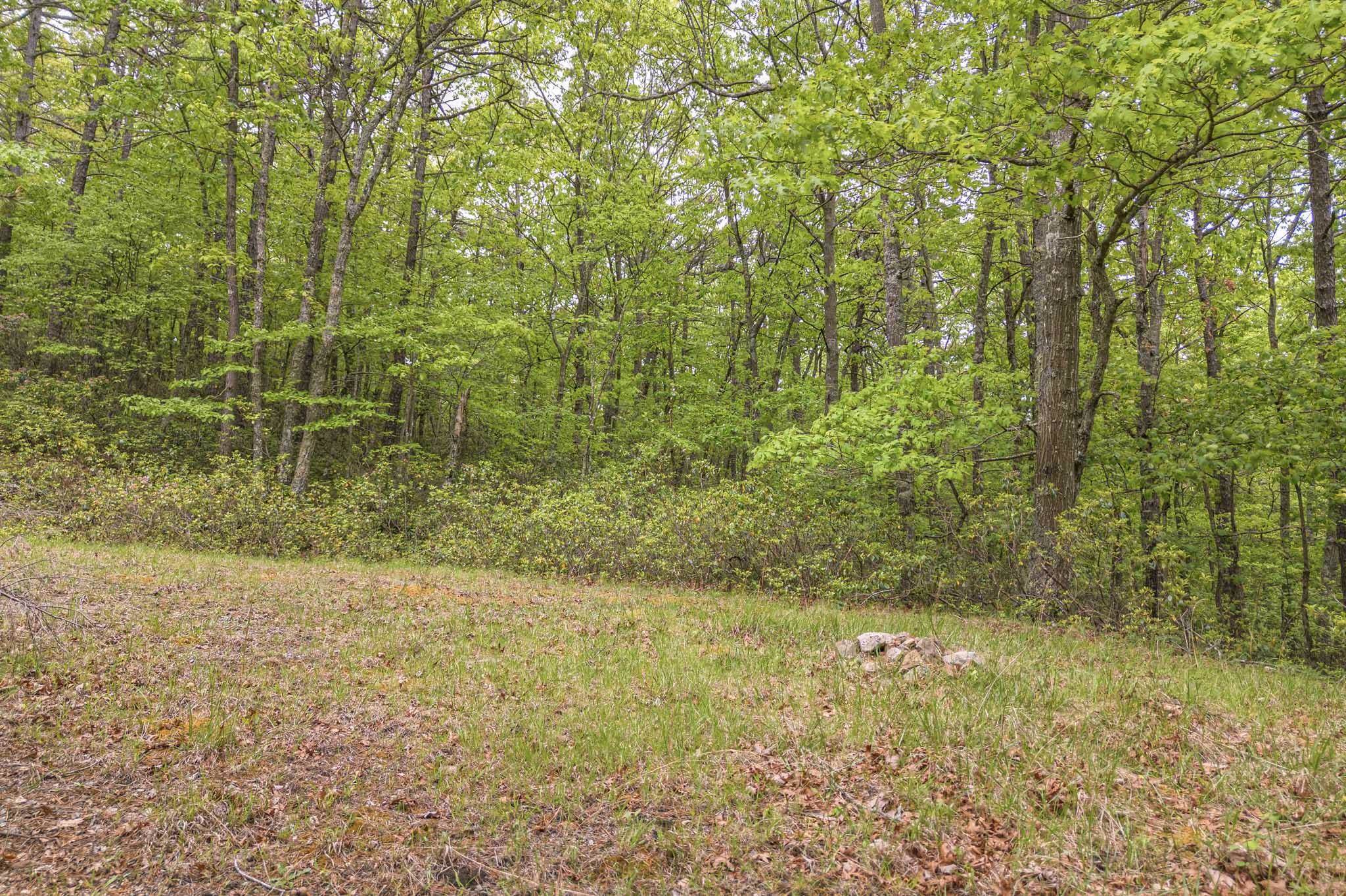 4950 Preston Forest Drive Blacksburg VA 24060