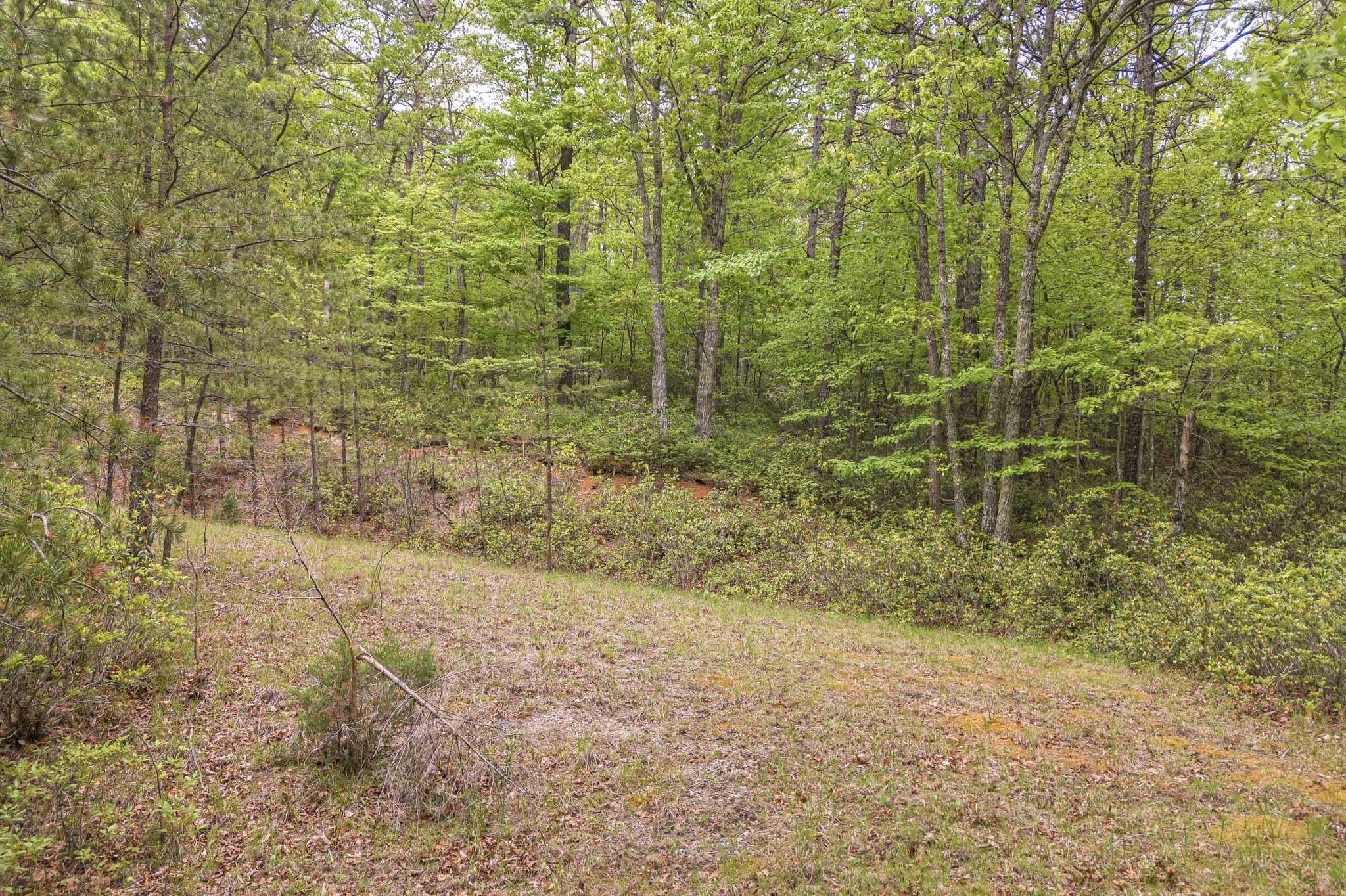 4950 Preston Forest Drive Blacksburg VA 24060