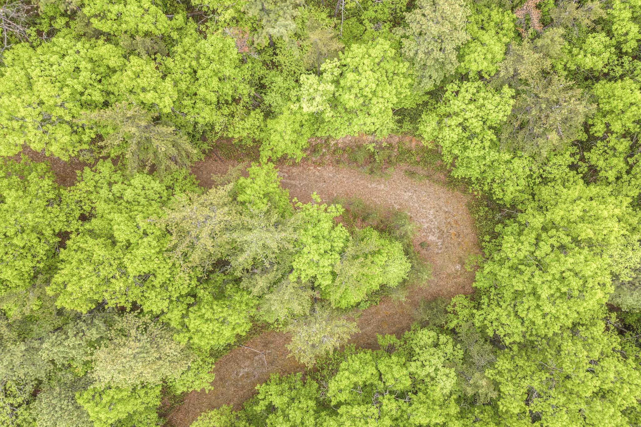 4950 Preston Forest Drive Blacksburg VA 24060