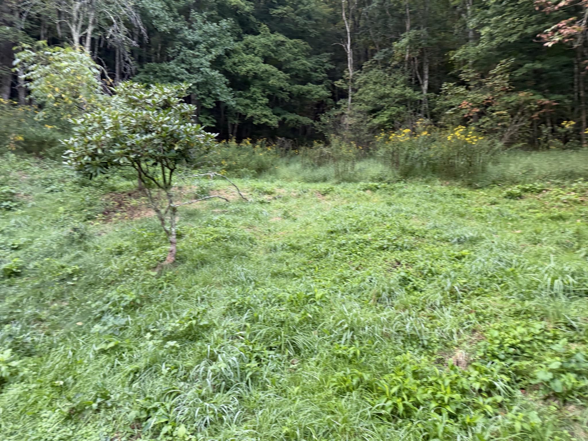 549 Dairy Barn Road Bluefield VA 24605