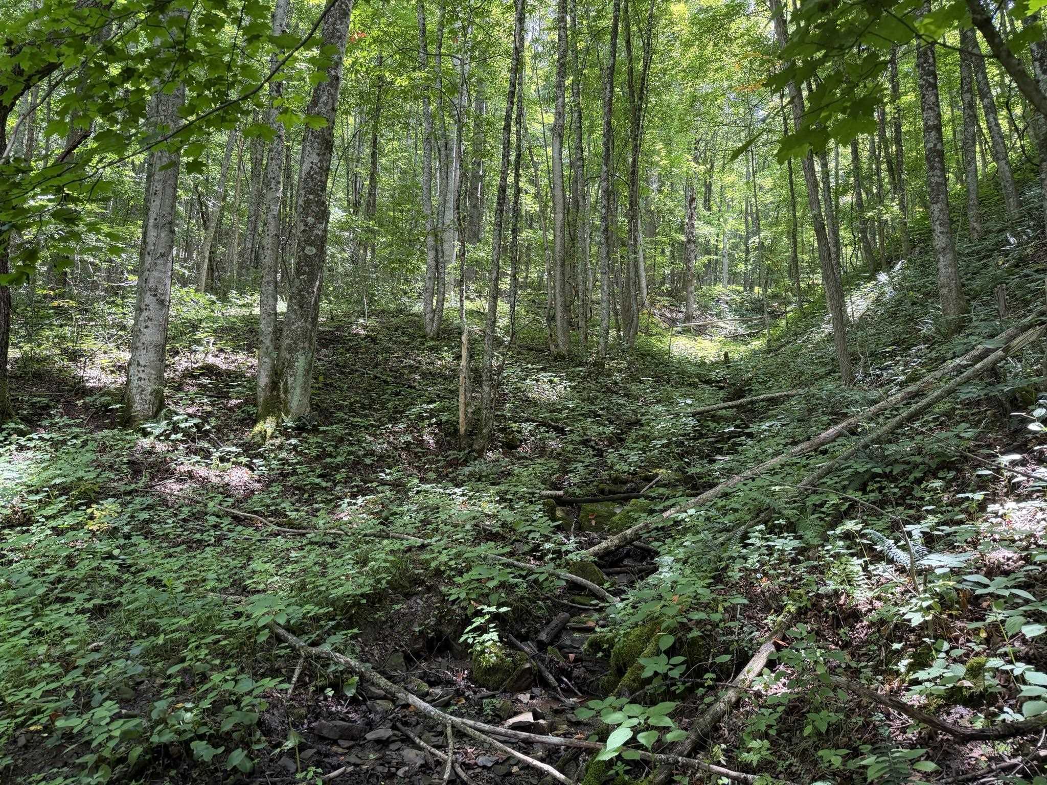 549 Dairy Barn Road Bluefield VA 24605