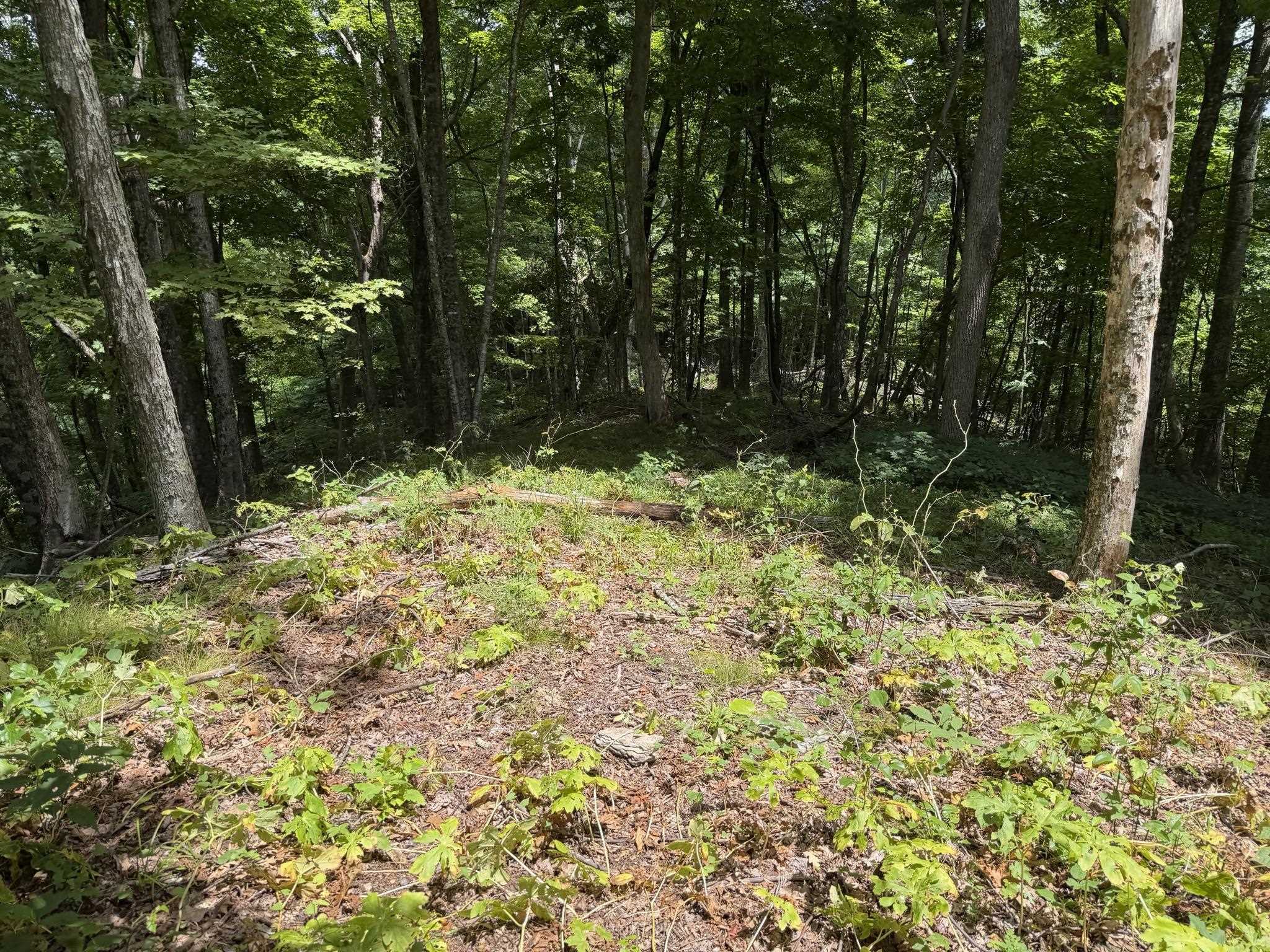 549 Dairy Barn Road Bluefield VA 24605