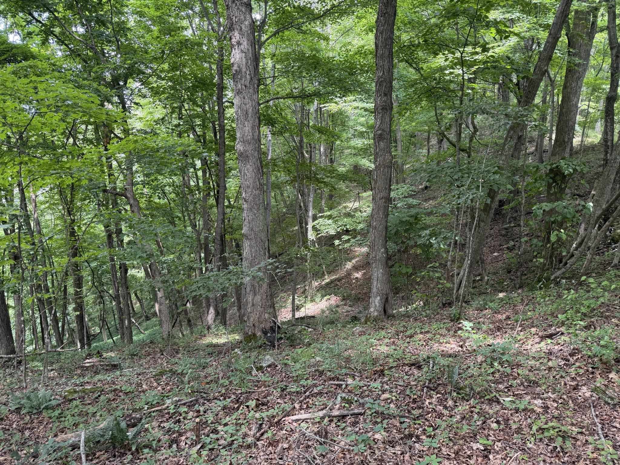 549 Dairy Barn Road Bluefield VA 24605