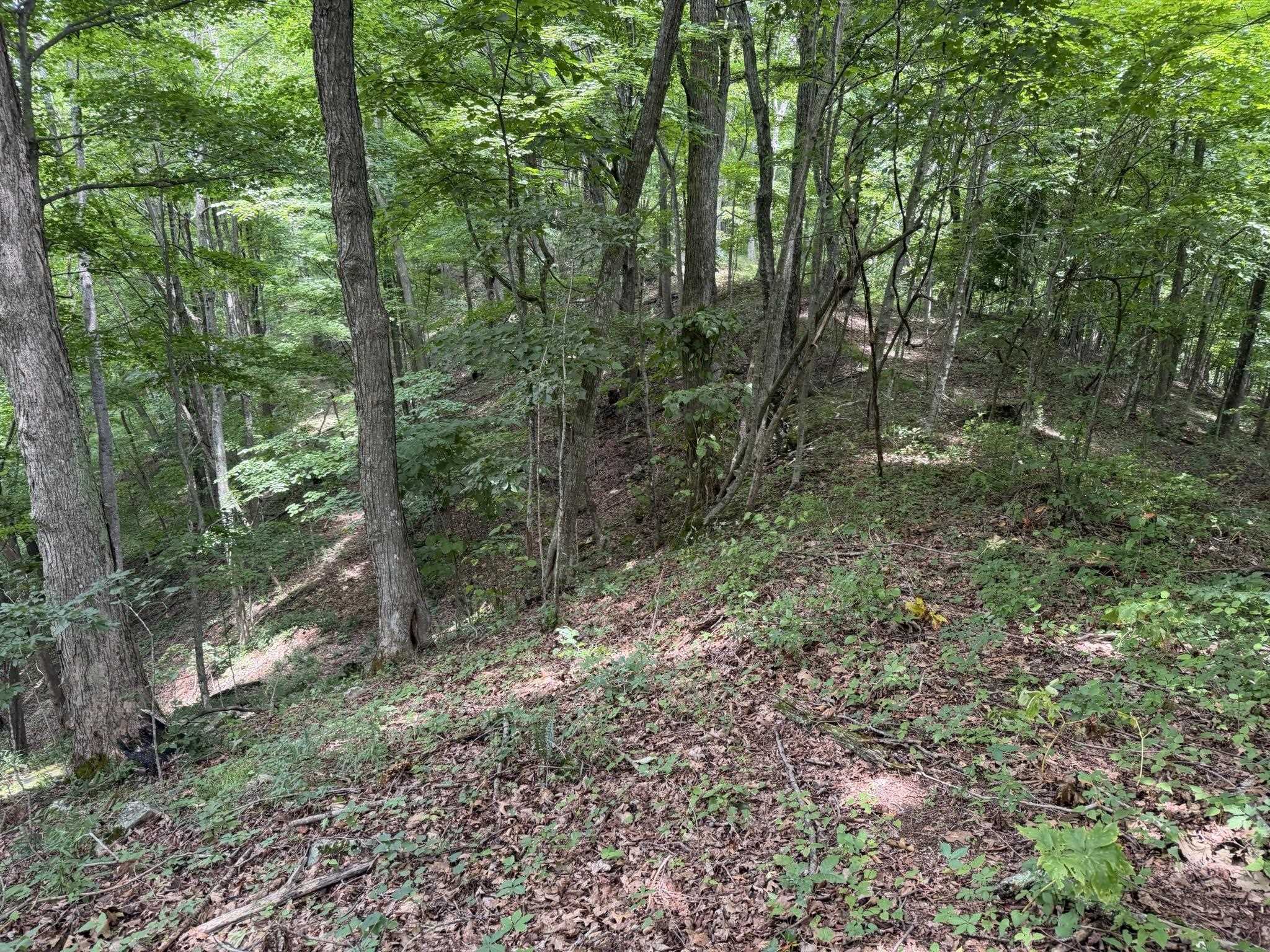 549 Dairy Barn Road Bluefield VA 24605