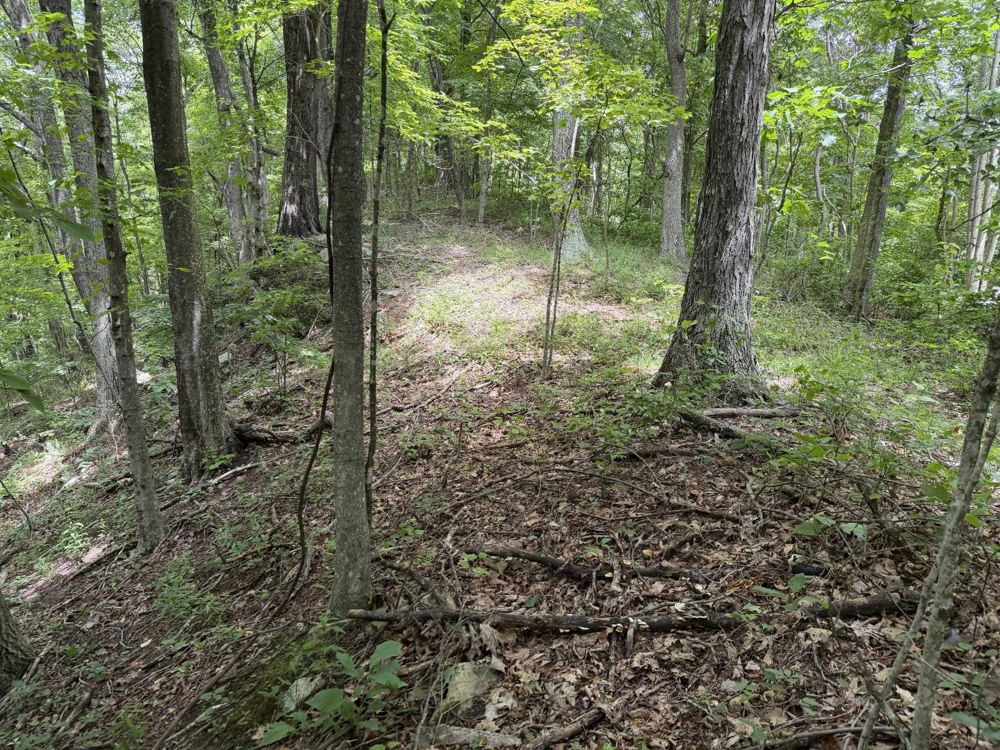 549 Dairy Barn Road Bluefield VA 24605