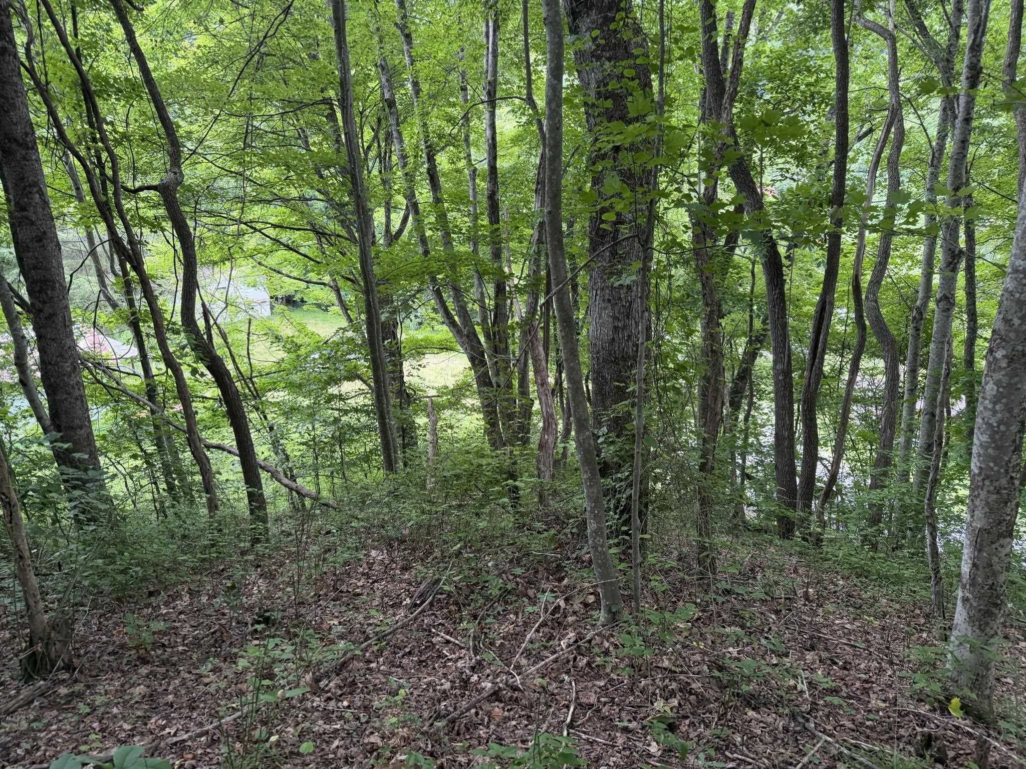 549 Dairy Barn Road Bluefield VA 24605