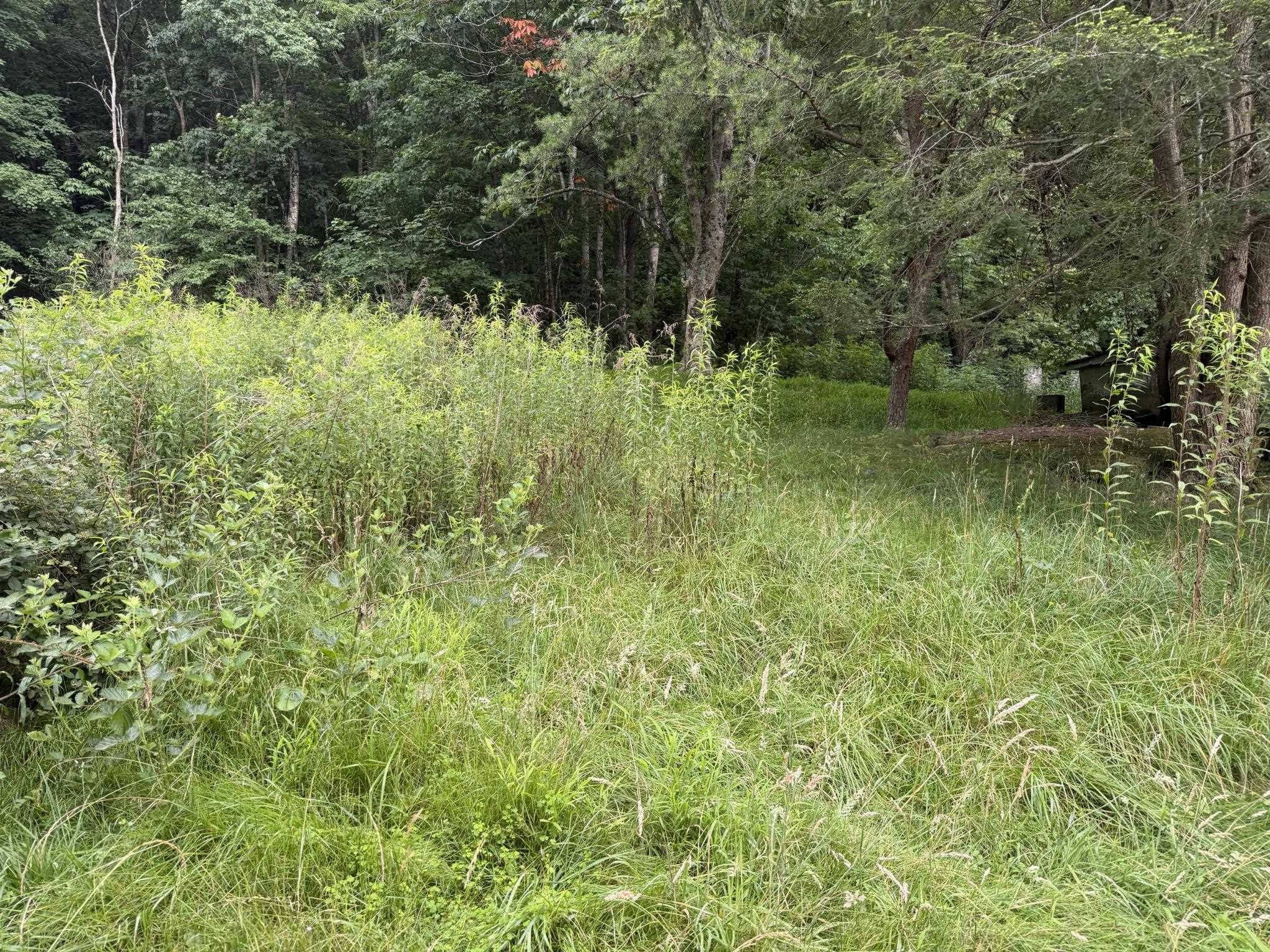 549 Dairy Barn Road Bluefield VA 24605