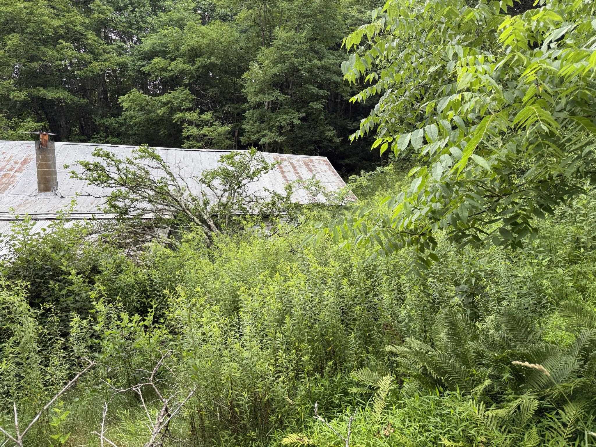 549 Dairy Barn Road Bluefield VA 24605