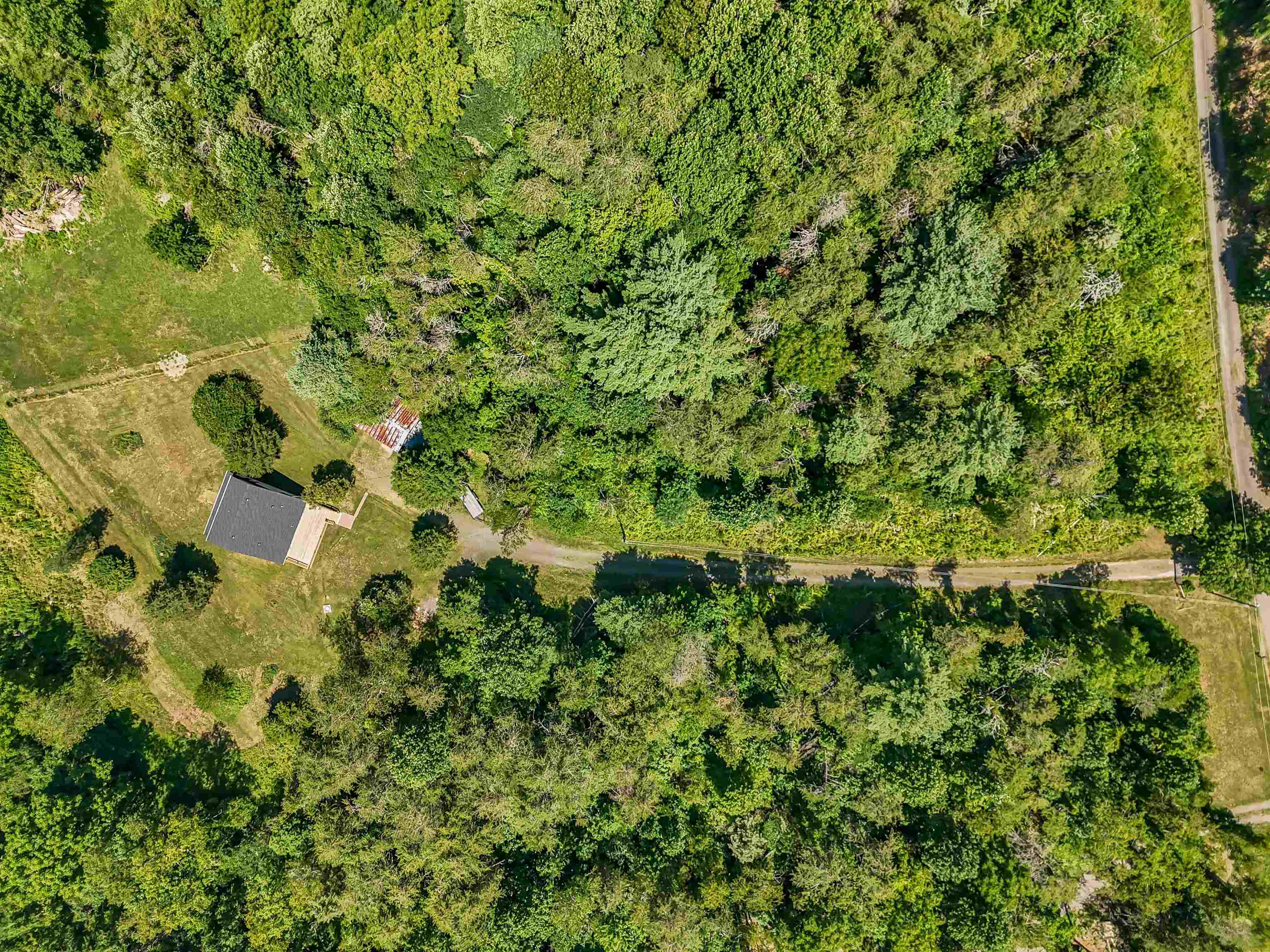 309 Timber Road Barren Springs VA 24313
