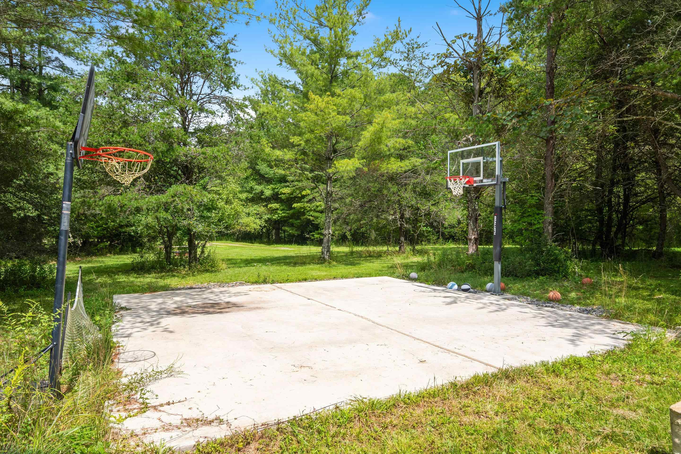 1591 Moles Road SW Willis VA 24380