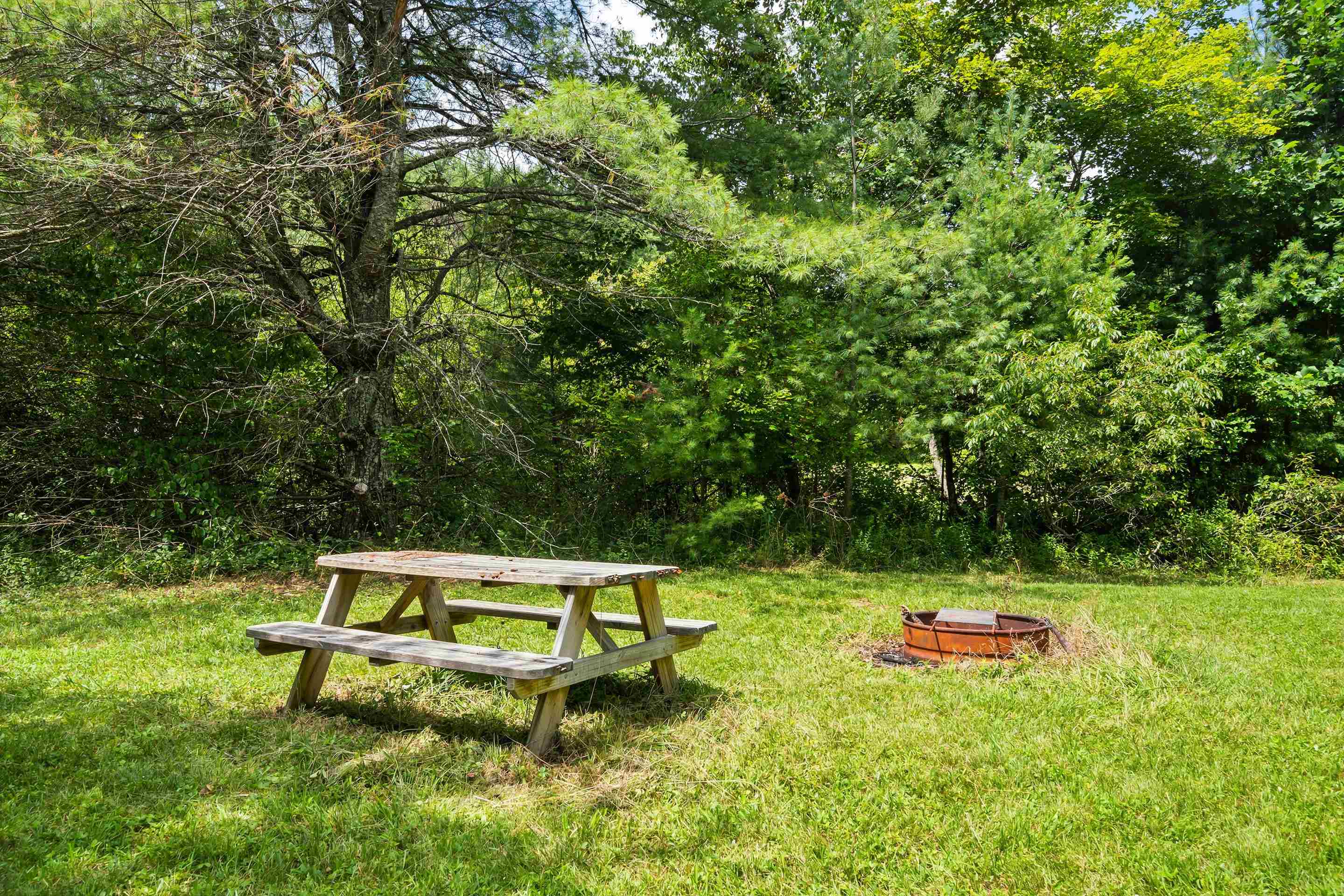 1591 Moles Road SW Willis VA 24380