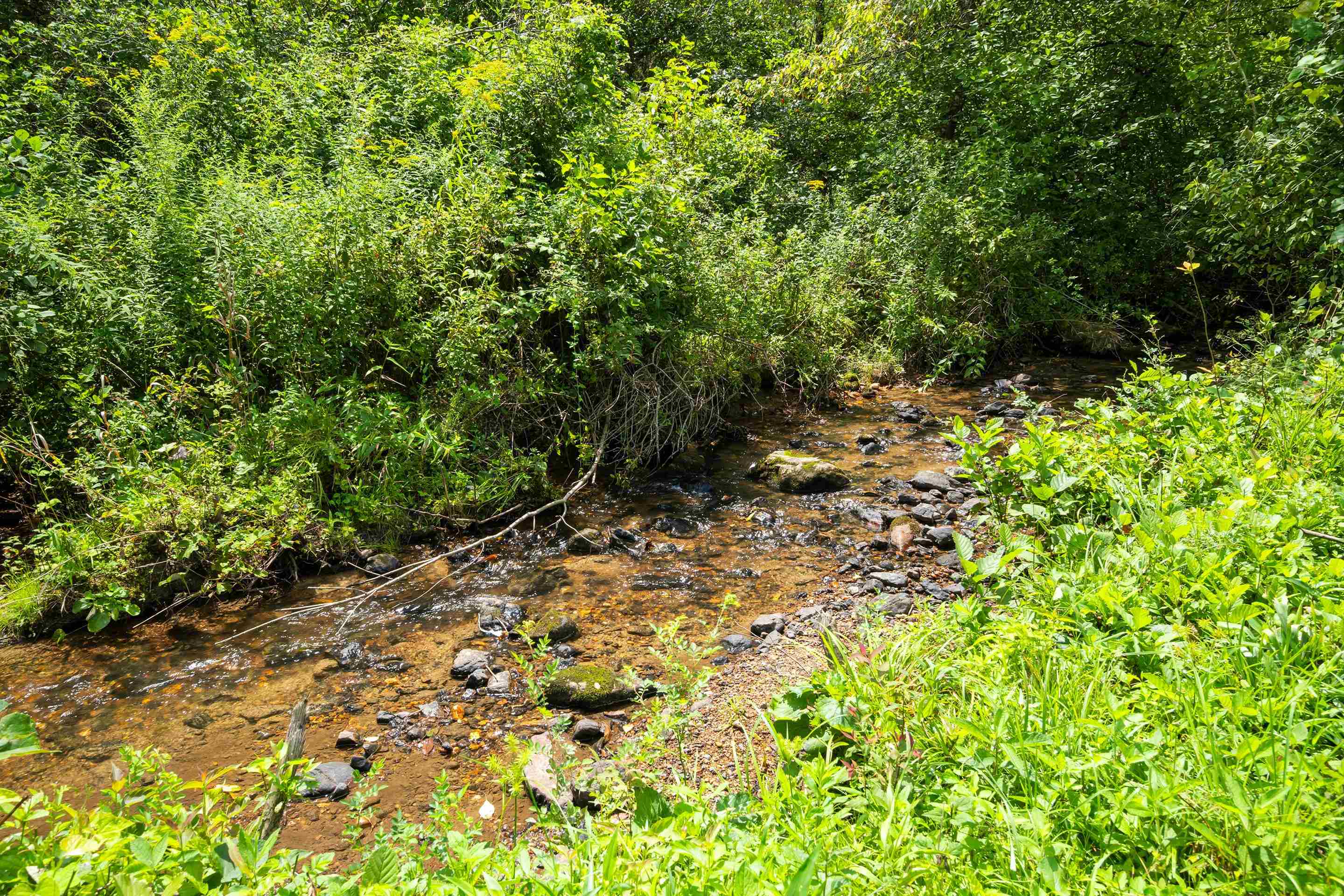 1591 Moles Road SW Willis VA 24380