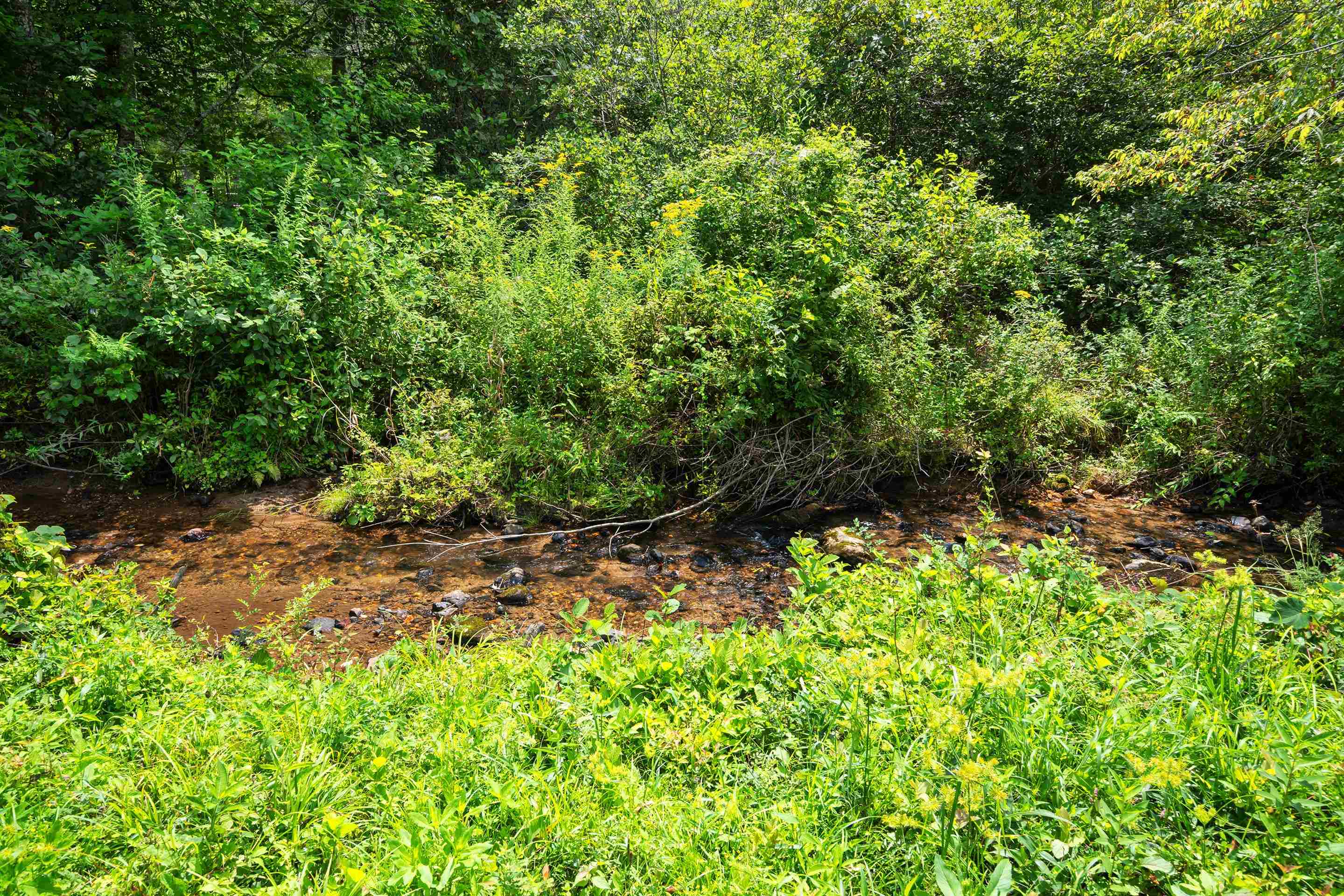 1591 Moles Road SW Willis VA 24380