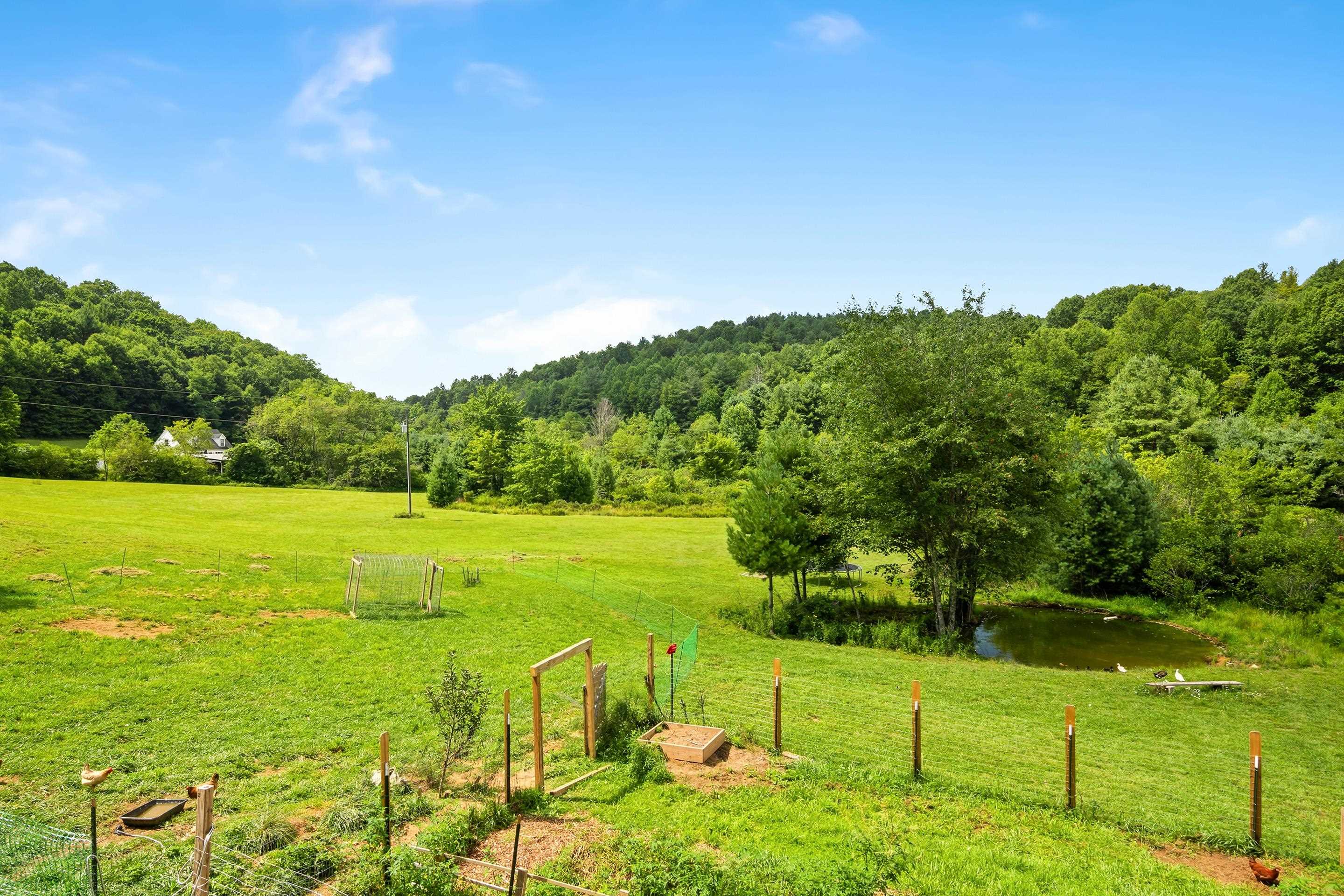 1591 Moles Road SW Willis VA 24380