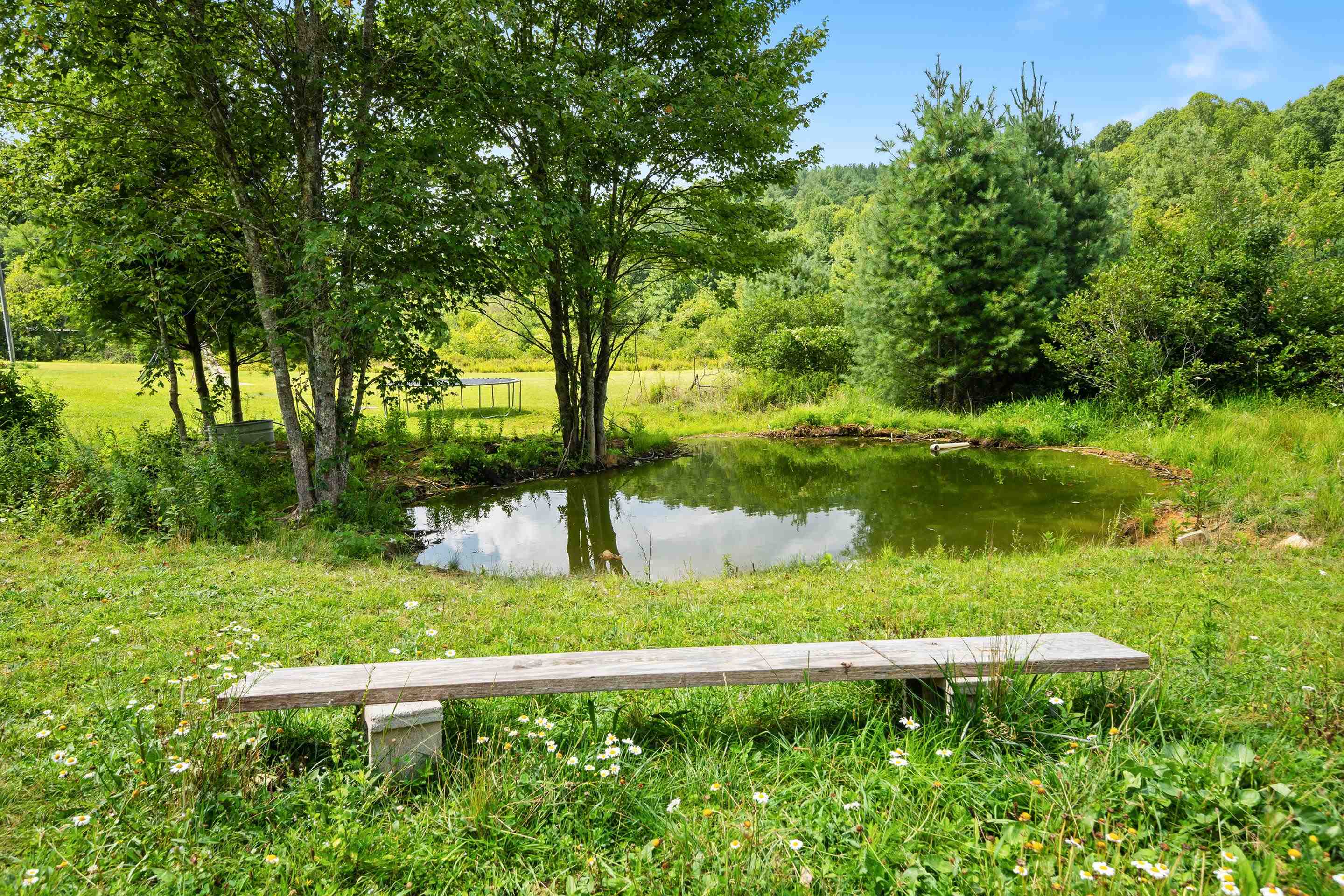 1591 Moles Road SW Willis VA 24380