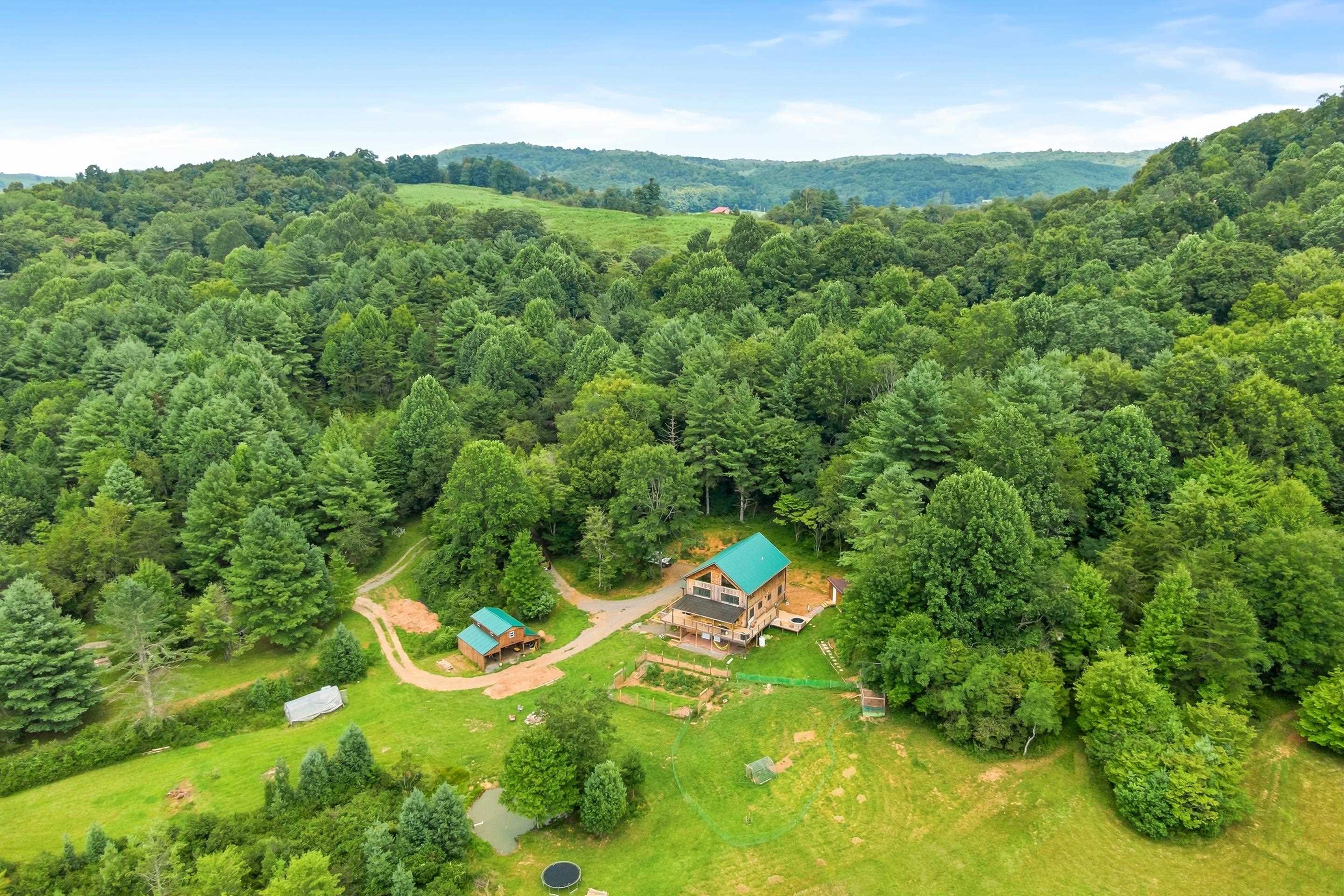 1591 Moles Road SW Willis VA 24380