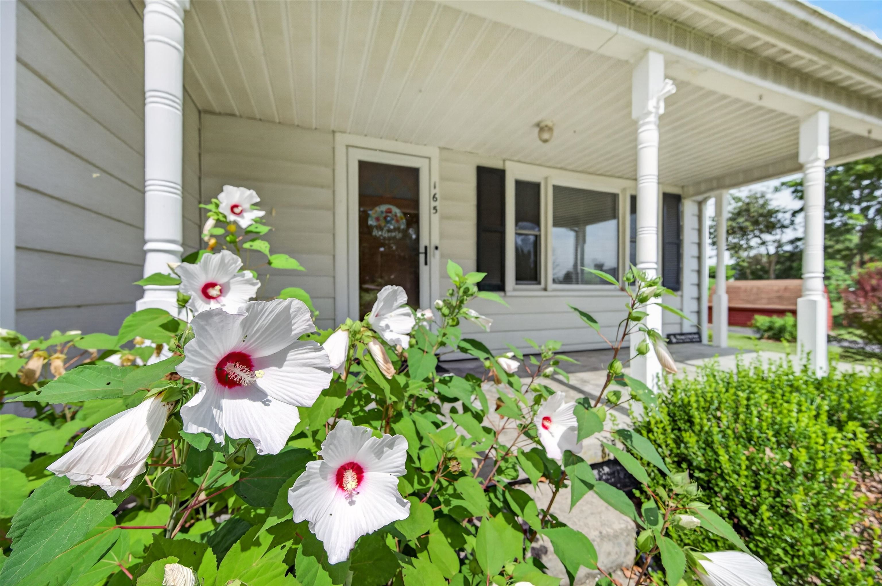 165 Blue Sky Drive Wytheville VA 24382