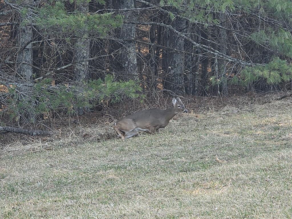 494 Soapstone Hill Road Floyd VA 24091