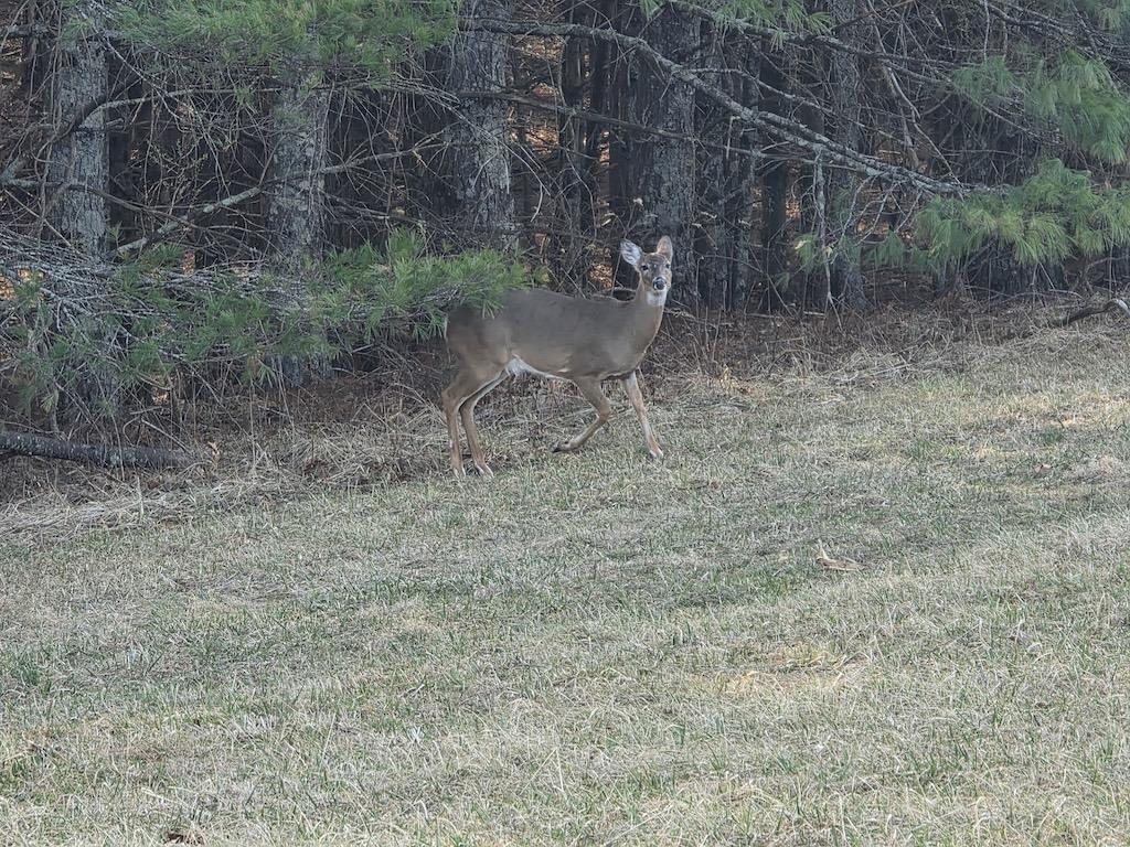 494 Soapstone Hill Road Floyd VA 24091