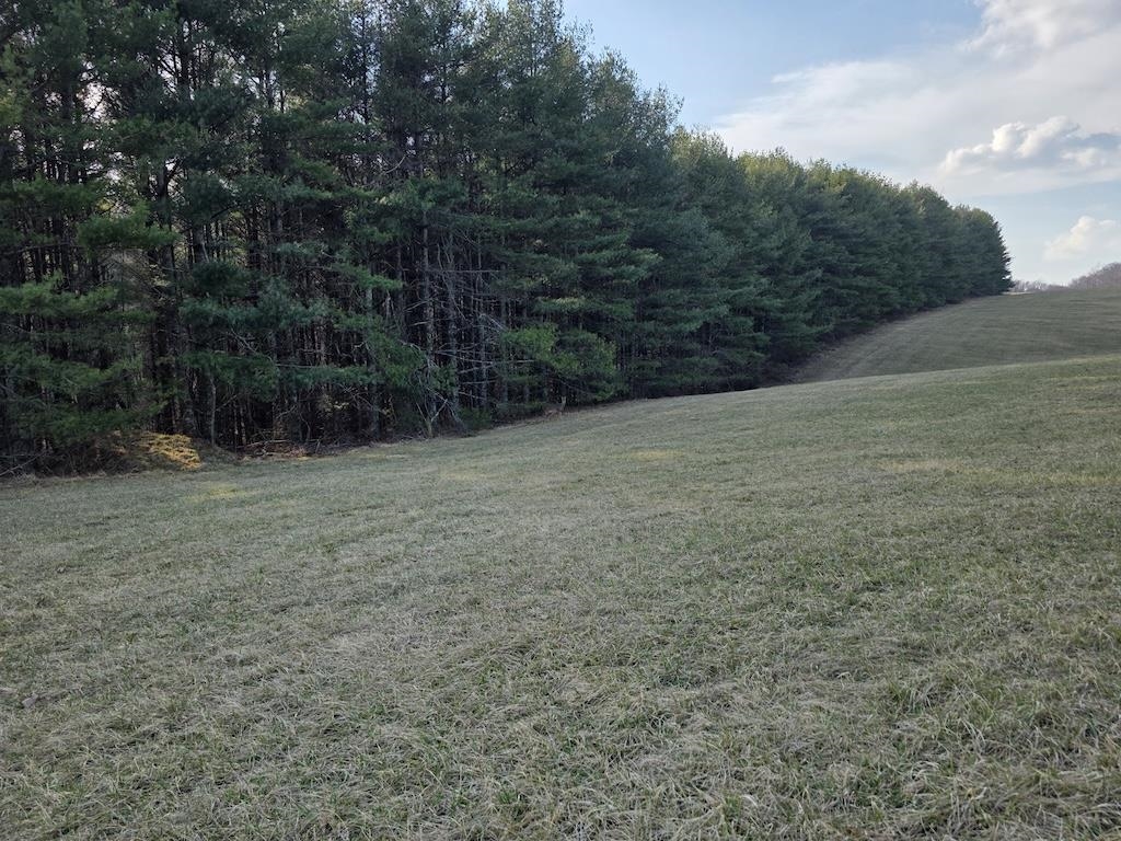 494 Soapstone Hill Road Floyd VA 24091