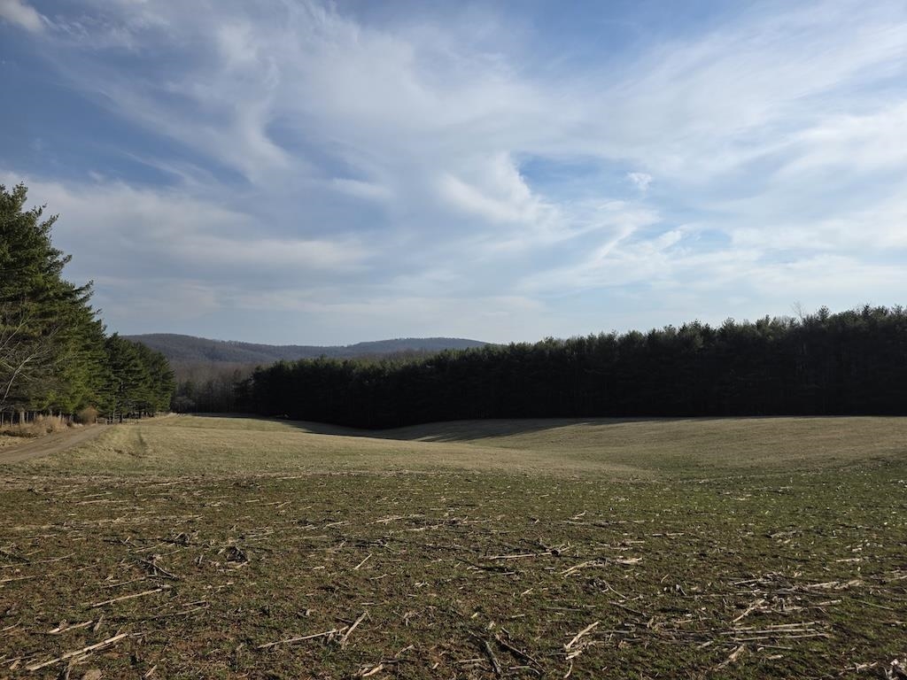 494 Soapstone Hill Road Floyd VA 24091