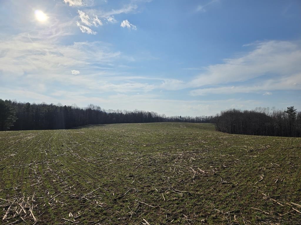 494 Soapstone Hill Road Floyd VA 24091