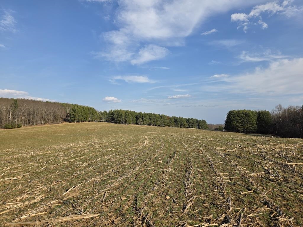 494 Soapstone Hill Road Floyd VA 24091