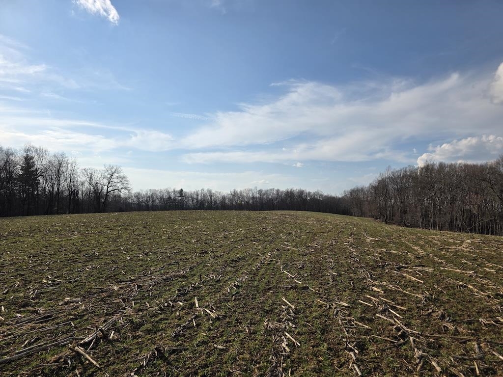 494 Soapstone Hill Road Floyd VA 24091