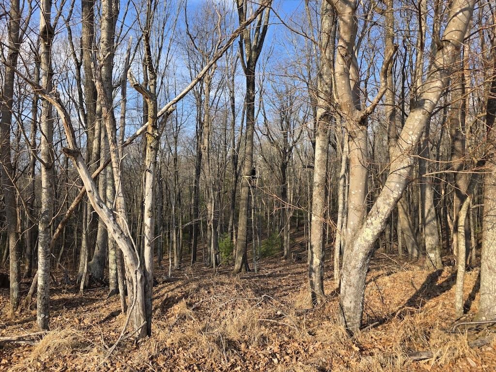 494 Soapstone Hill Road Floyd VA 24091