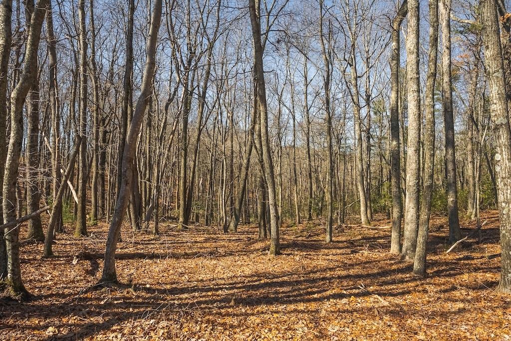 494 Soapstone Hill Road Floyd VA 24091