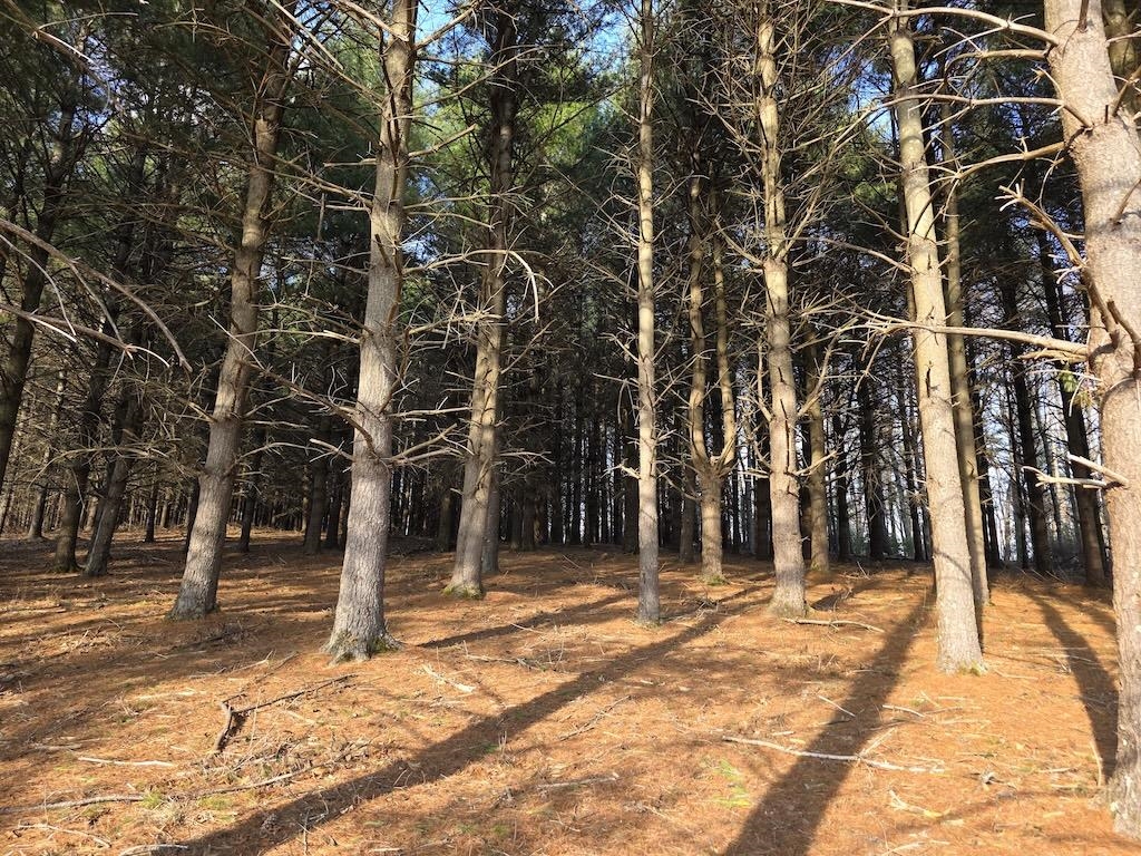 494 Soapstone Hill Road Floyd VA 24091