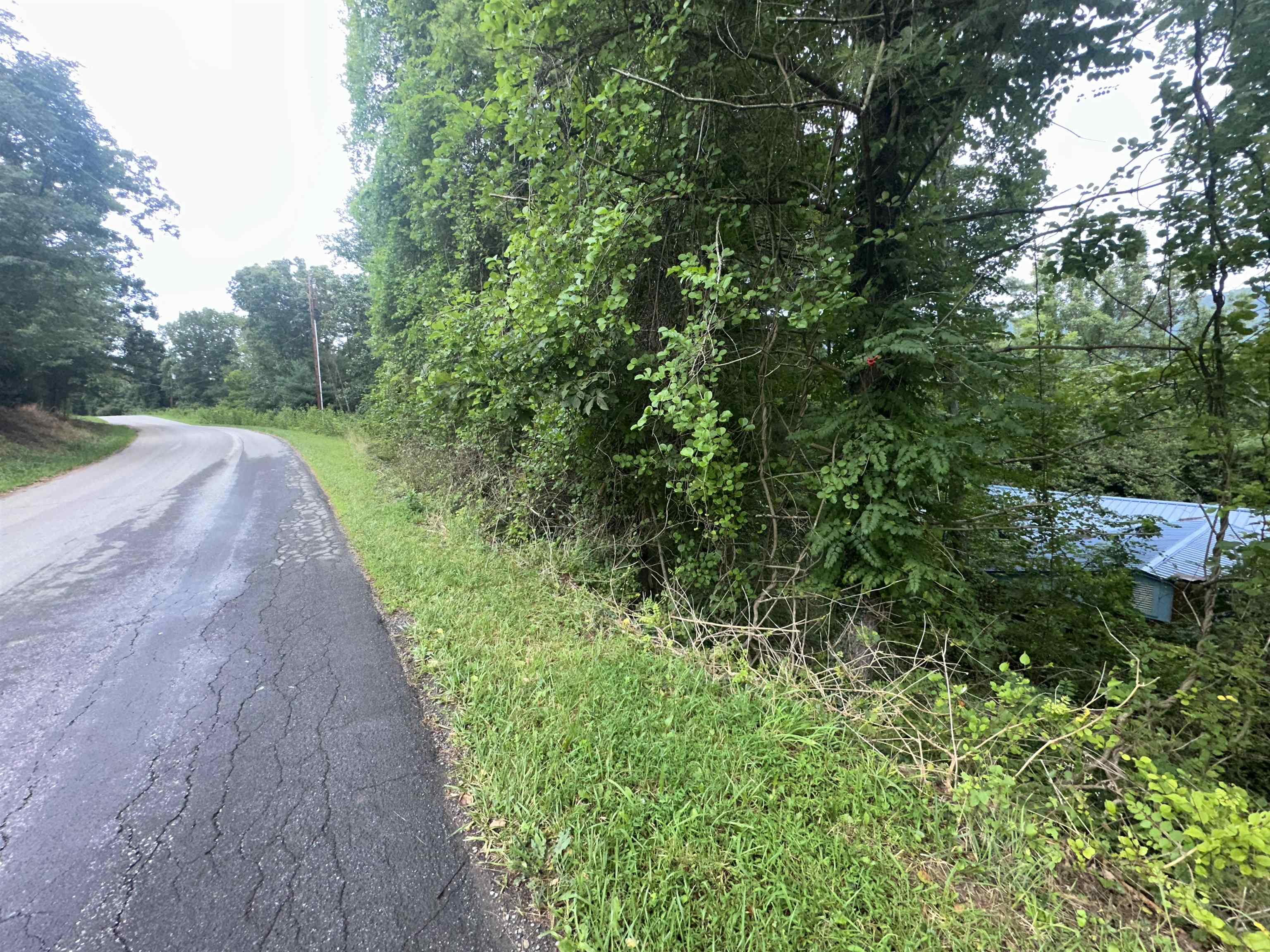 796 Piney Mountain Road Narrows VA 24124