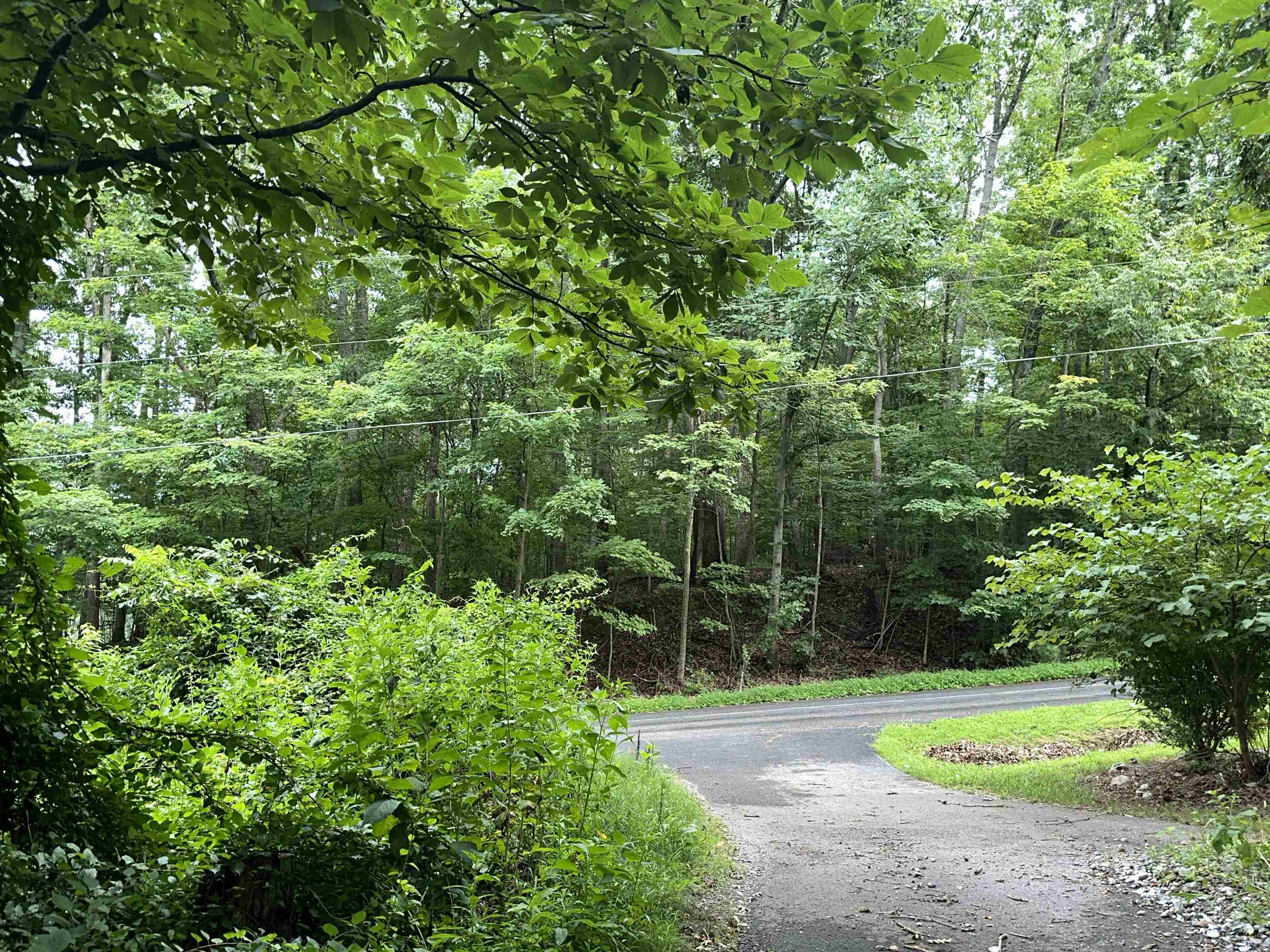 796 Piney Mountain Road Narrows VA 24124