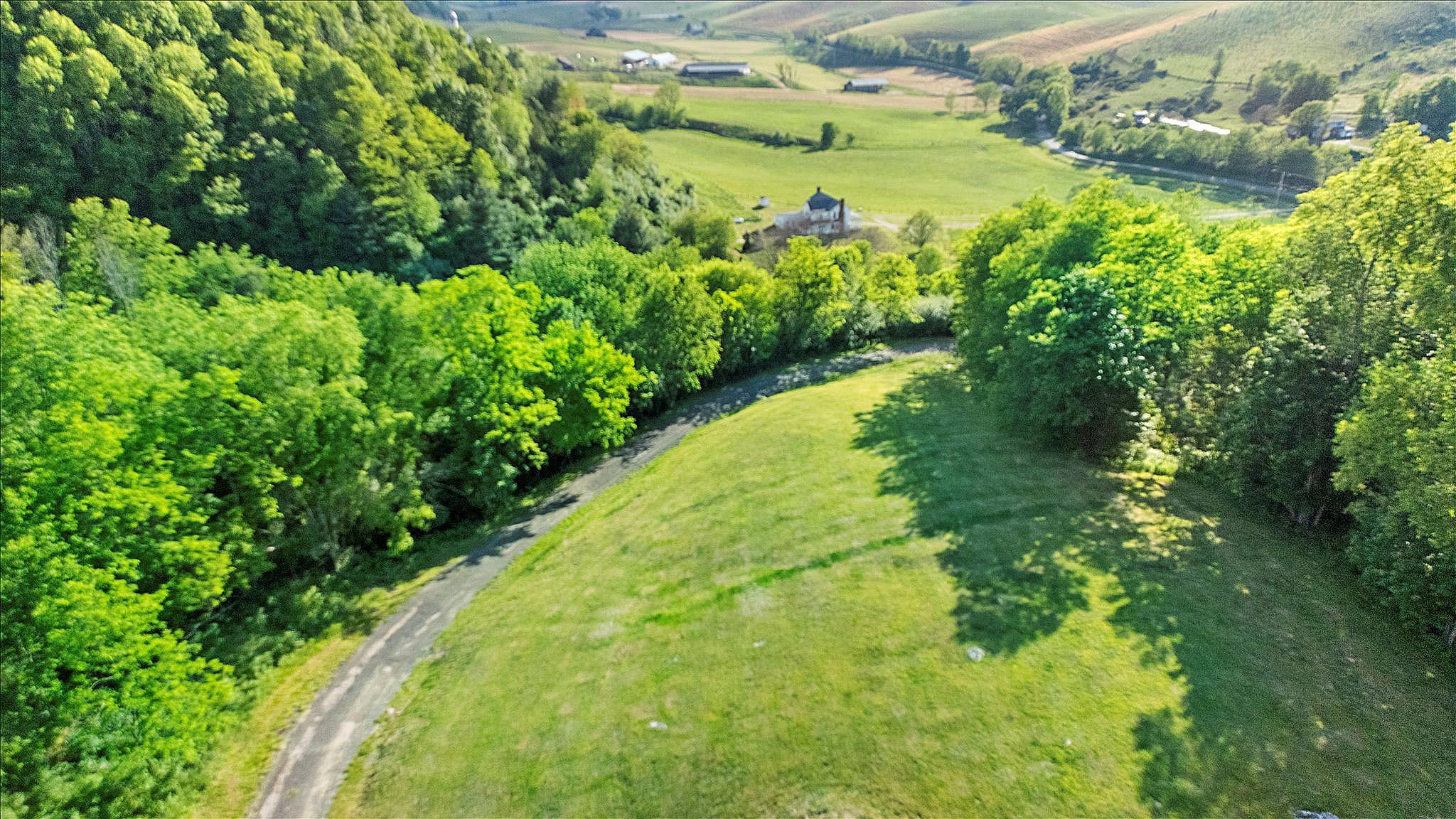 1354 Clover Hollow Road Newport VA 24128